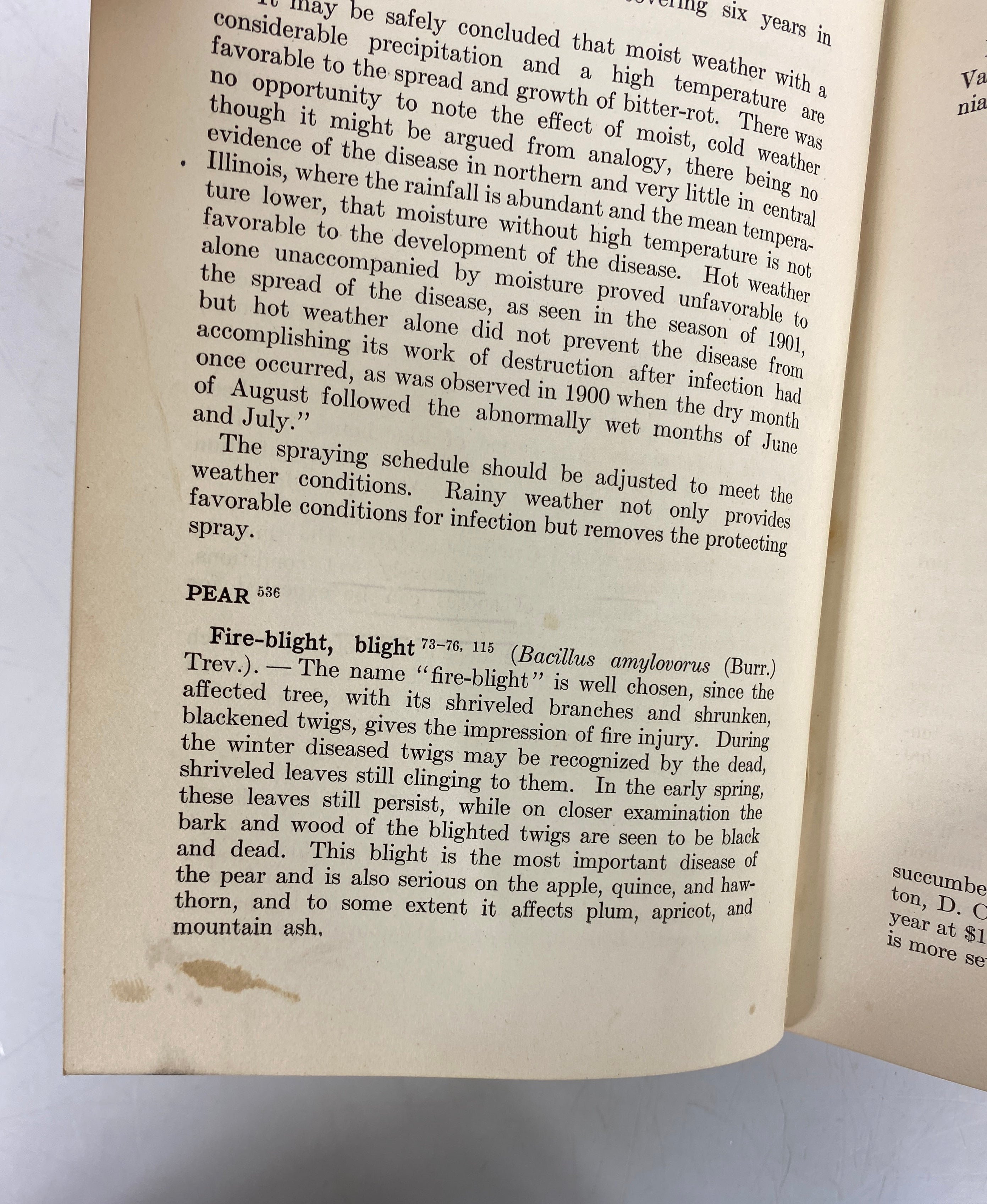 Diseases of Economic Plants Stevens/Hall 1922 Revised Edition Antique HC
