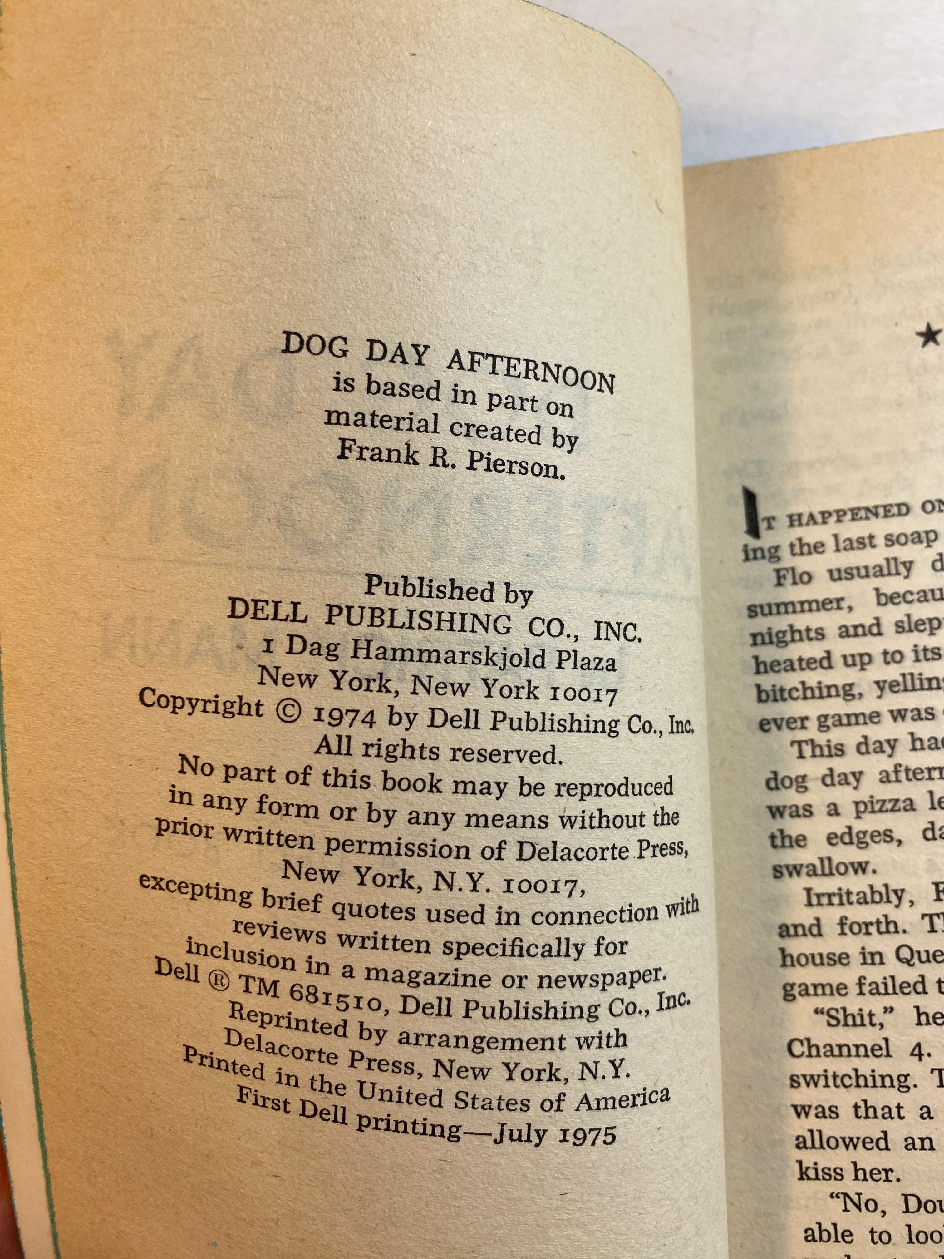 Dog Day Afternoon Patrick Mann Paperback 1974