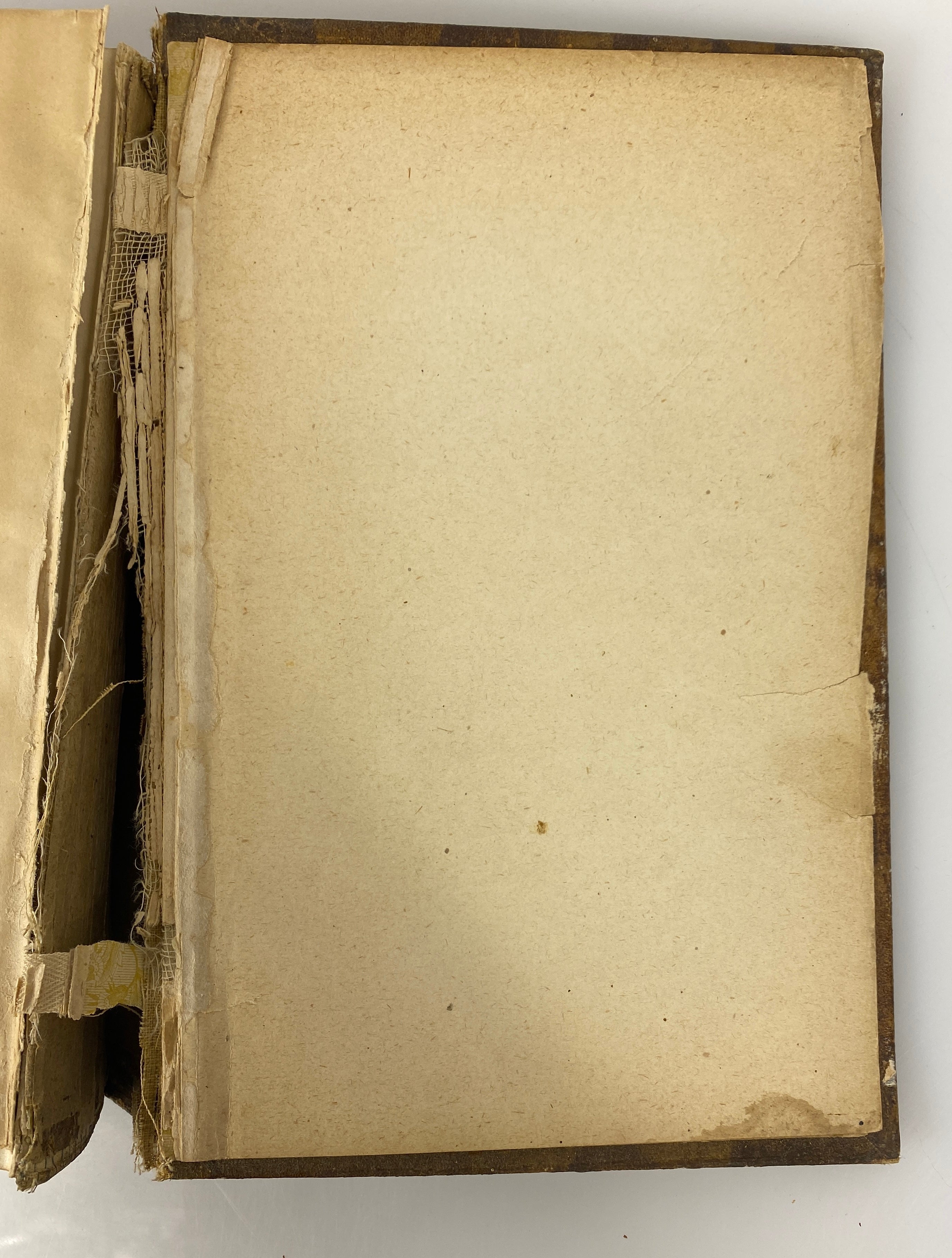 Dr. Chase's Last Receipt Book & Household Physician 1906 Antique HC