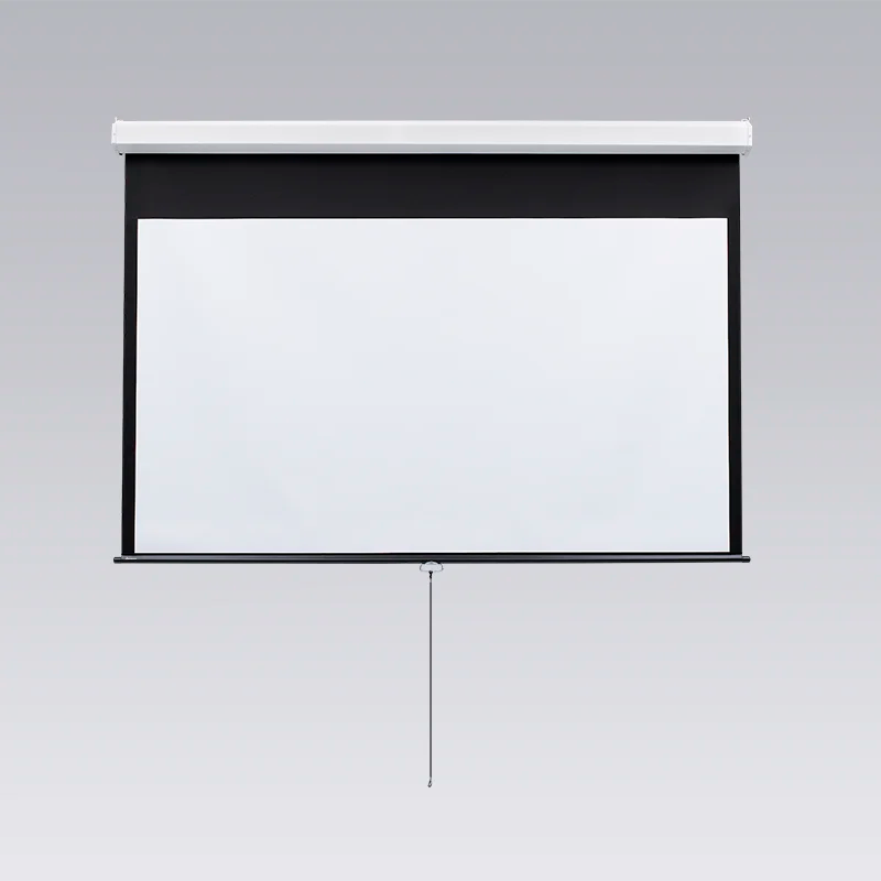 Draper Inc. Luma 2 Matt White 113"W Spring Roller Operated Projector Screen