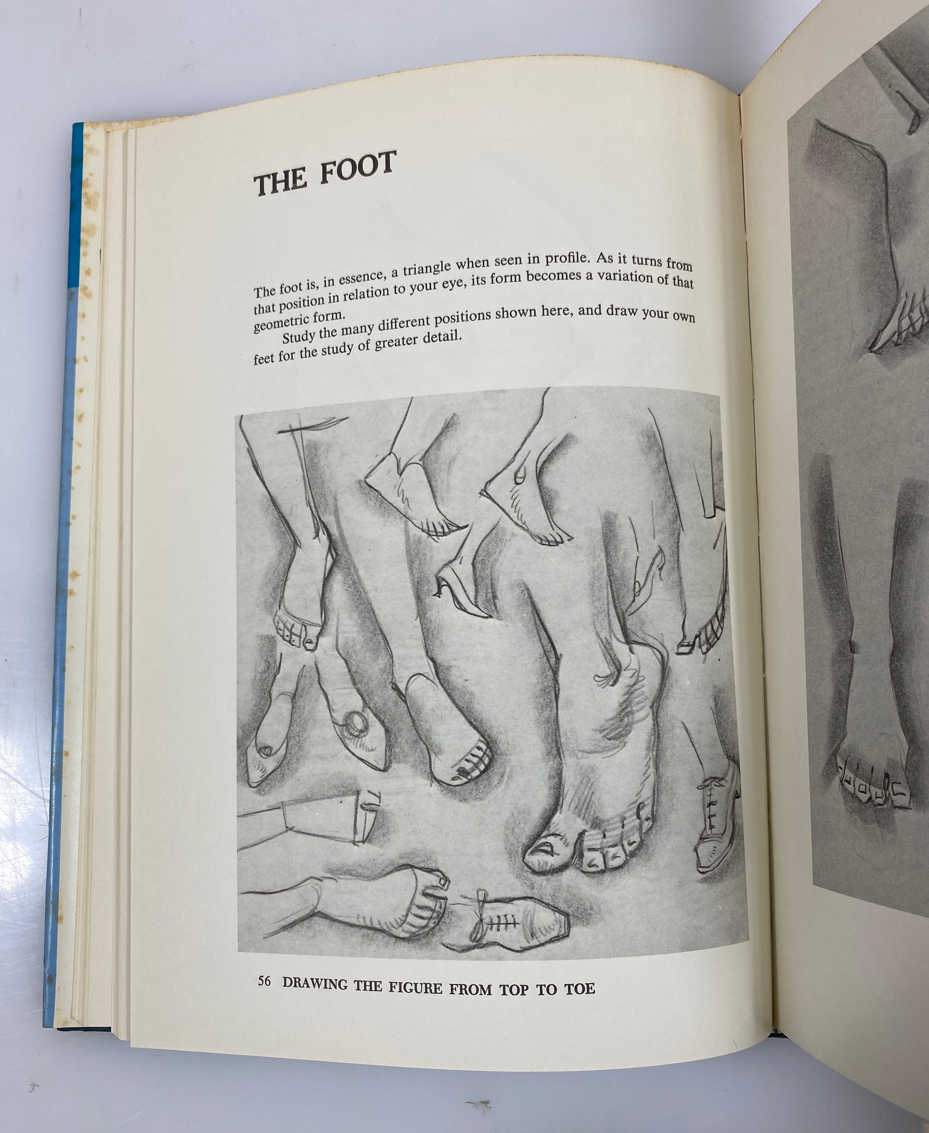 Drawing the Figure from Top to Toe Zaidenberg 1st Ed. 1966 HCDJ