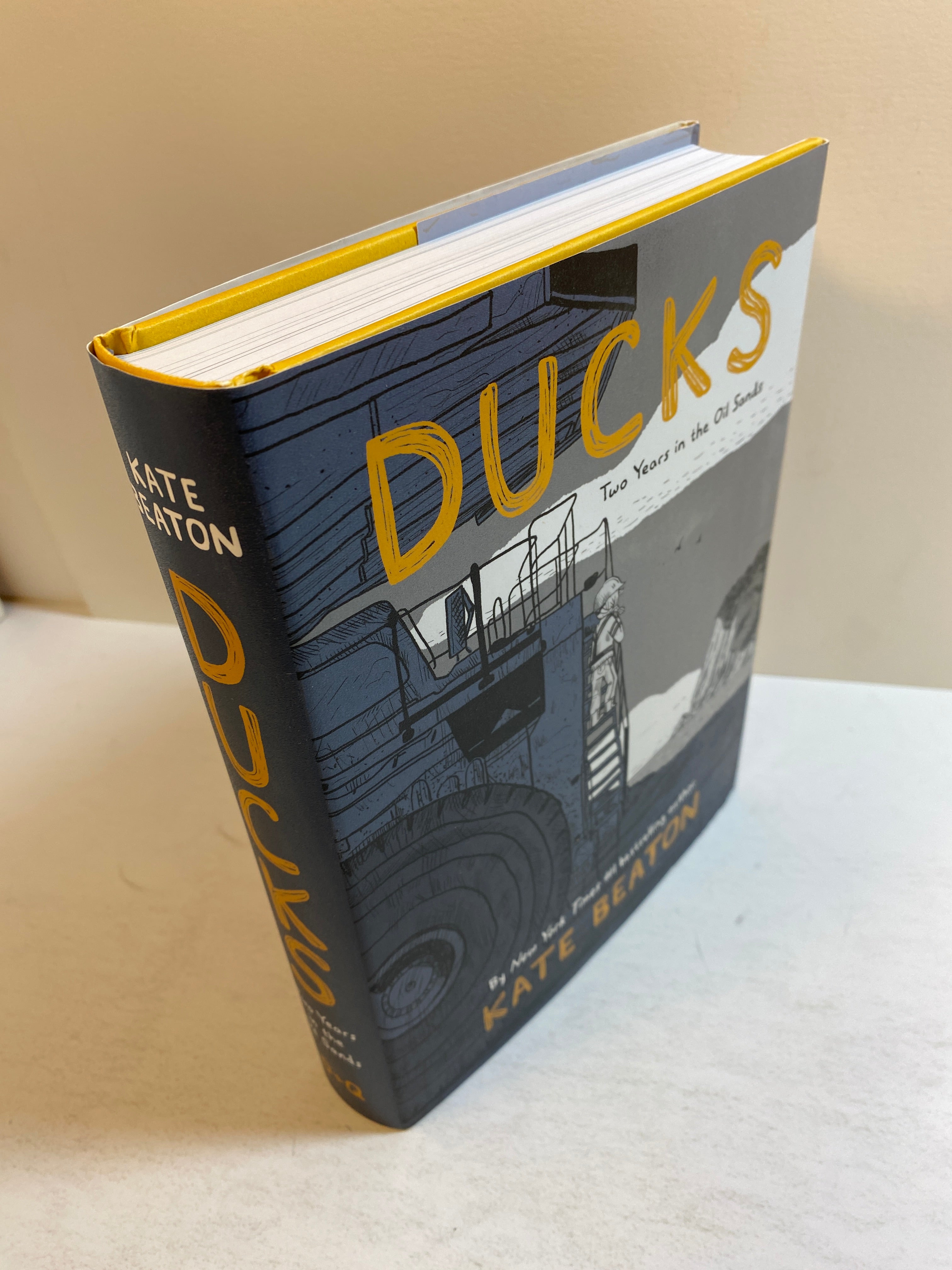 Ducks Two Years in Oil Sands Kate Beacon HCDJ 2022