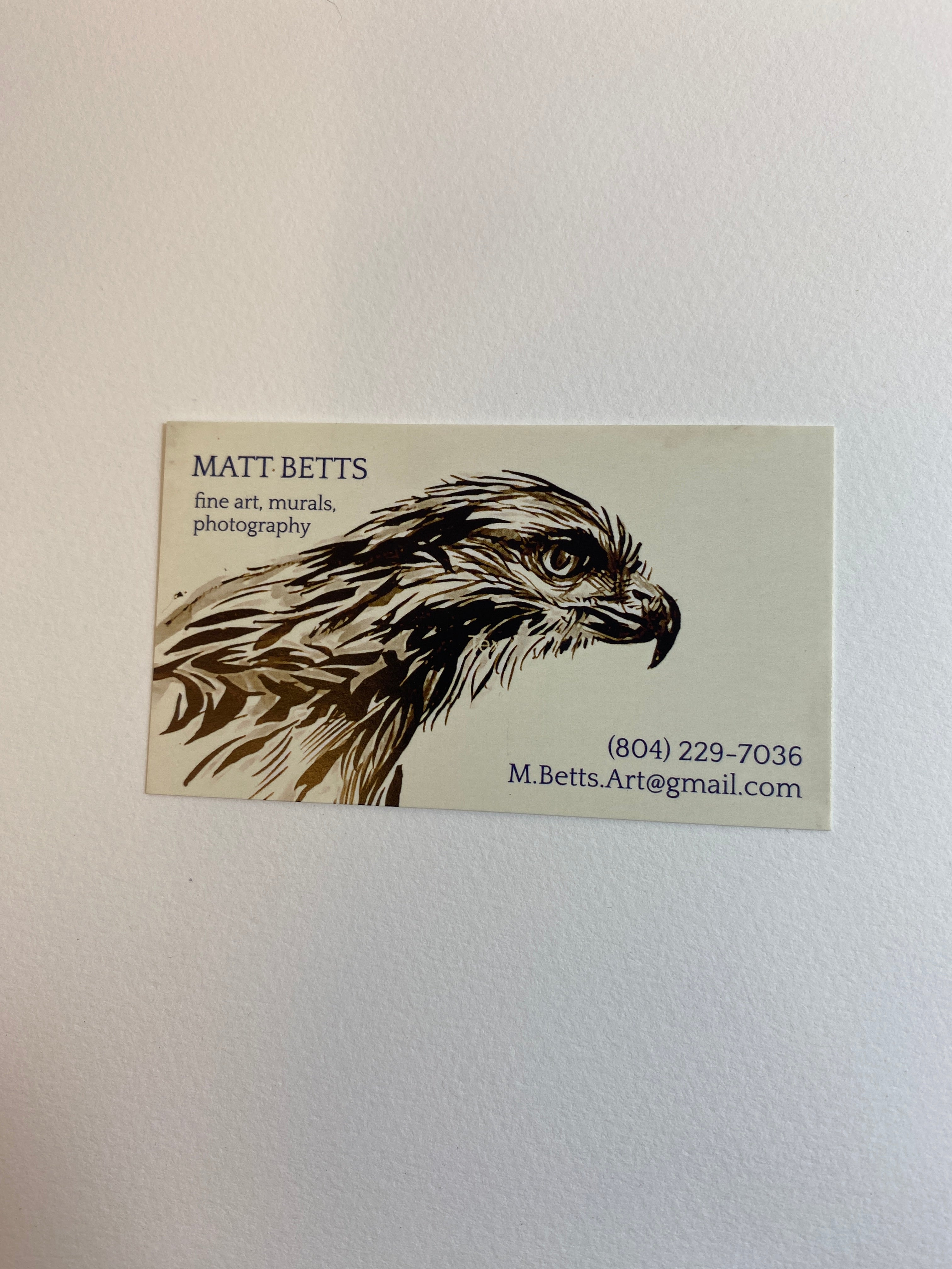 Eastern Kingbird Matt Betts Art Print