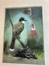 Eastern Kingbird Matt Betts Art Print