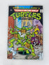 Eastman and Laird Ninja Turtle Adventures Comic 1988