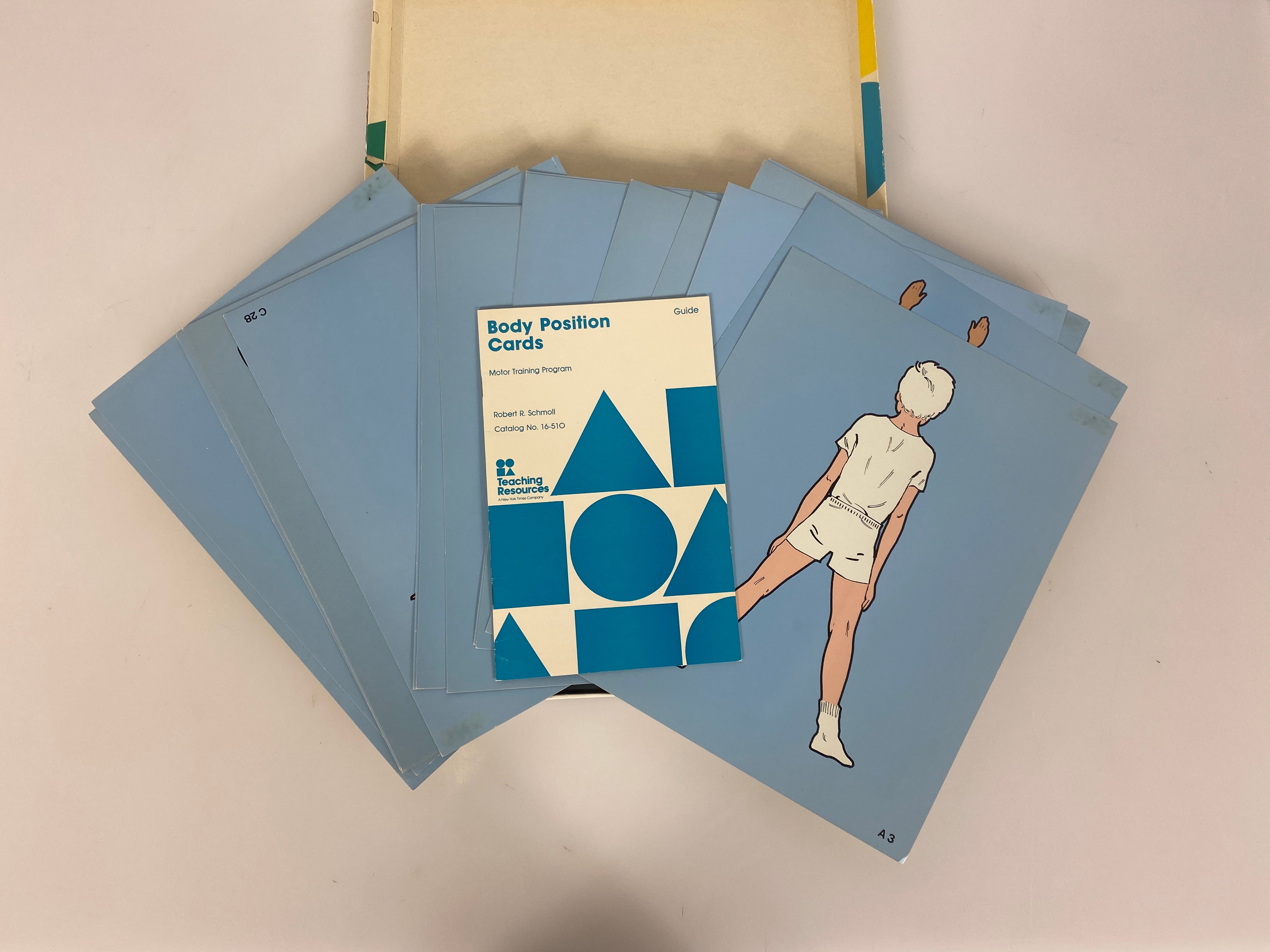 Educational Child Development Body Position Learning Cards