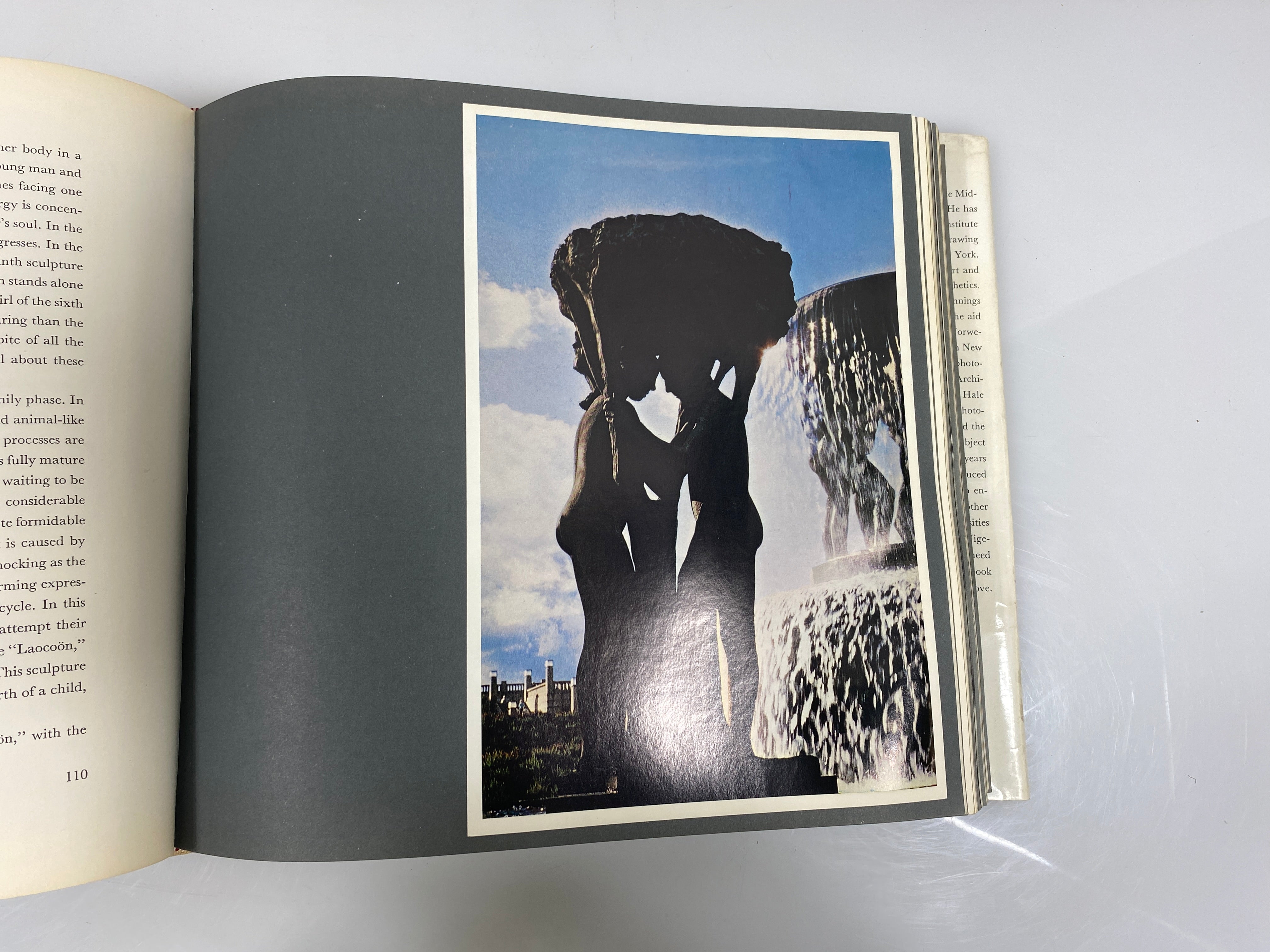 Embrace of Life The Sculpture of Gustav Vigeland Abrams Artbooks HCDJ
