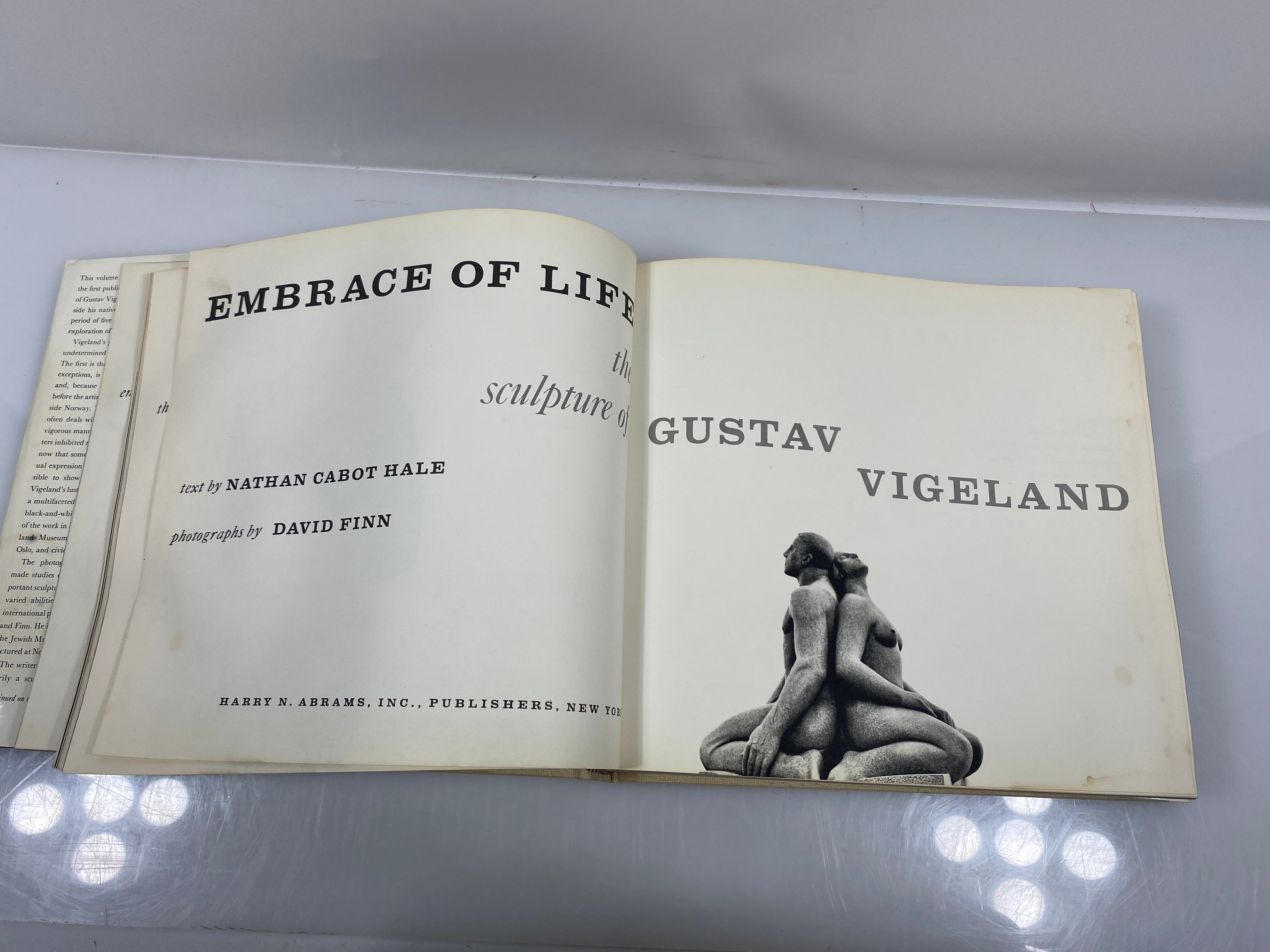 Embrace of Life The Sculpture of Gustav Vigeland Abrams Artbooks HCDJ
