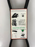 Emerson Browning Belt V5L420 Pack of 2