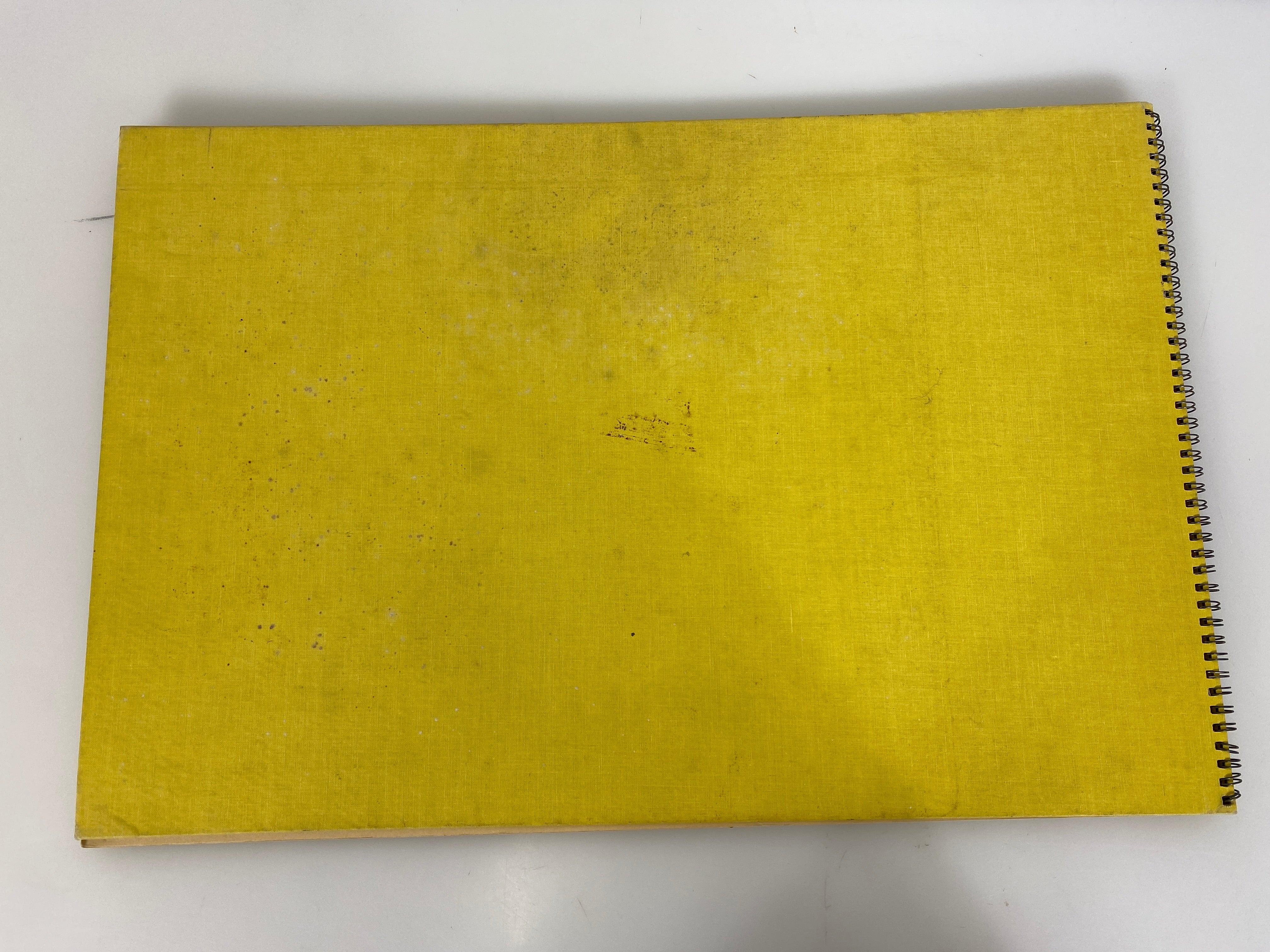 Experiential Development Program for Young Children Large Book 1966