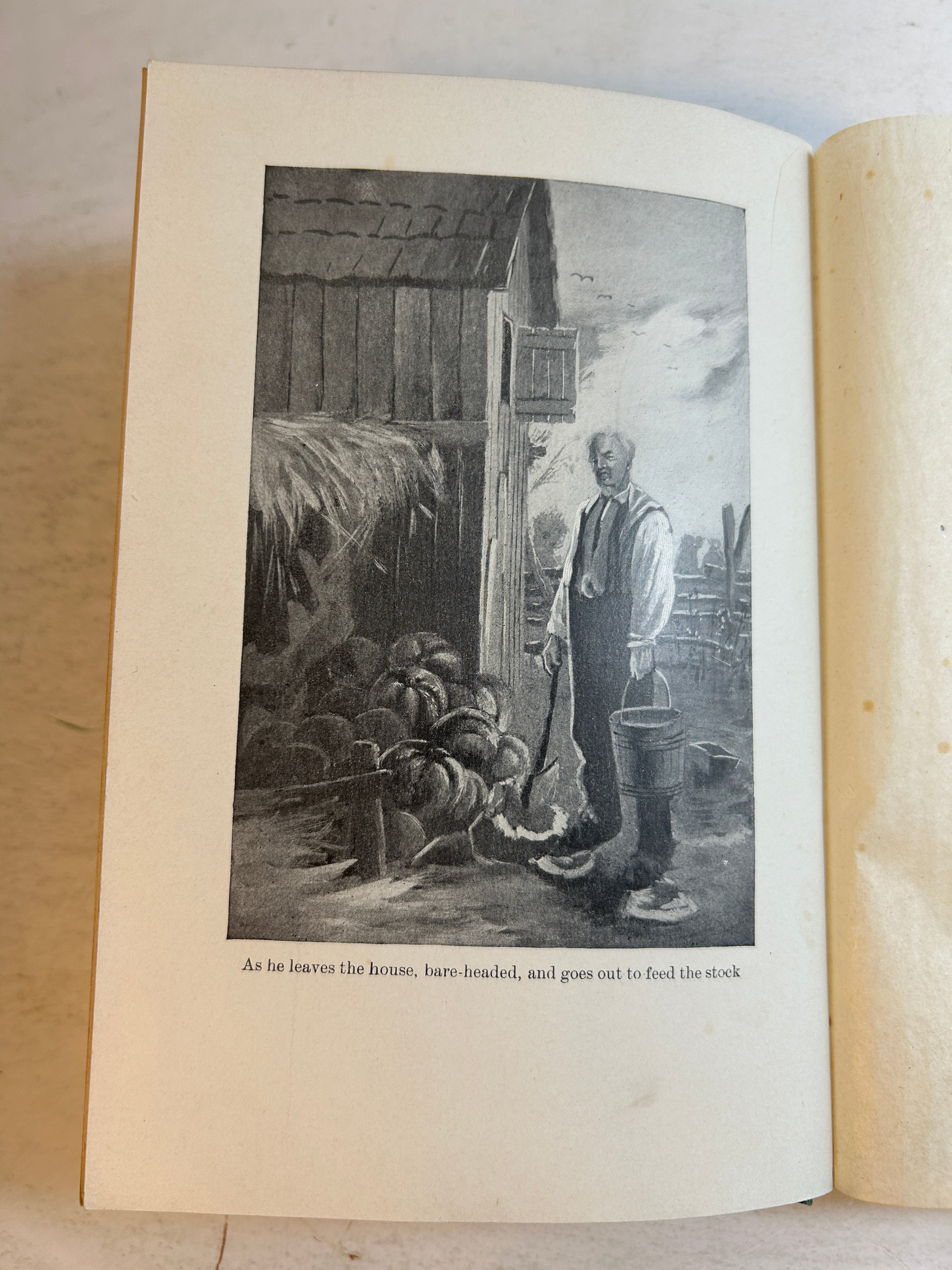 Farm-Rhymes James Whitcomb Riley w/Country Pictures Will Vawter 1905 Merrill HC