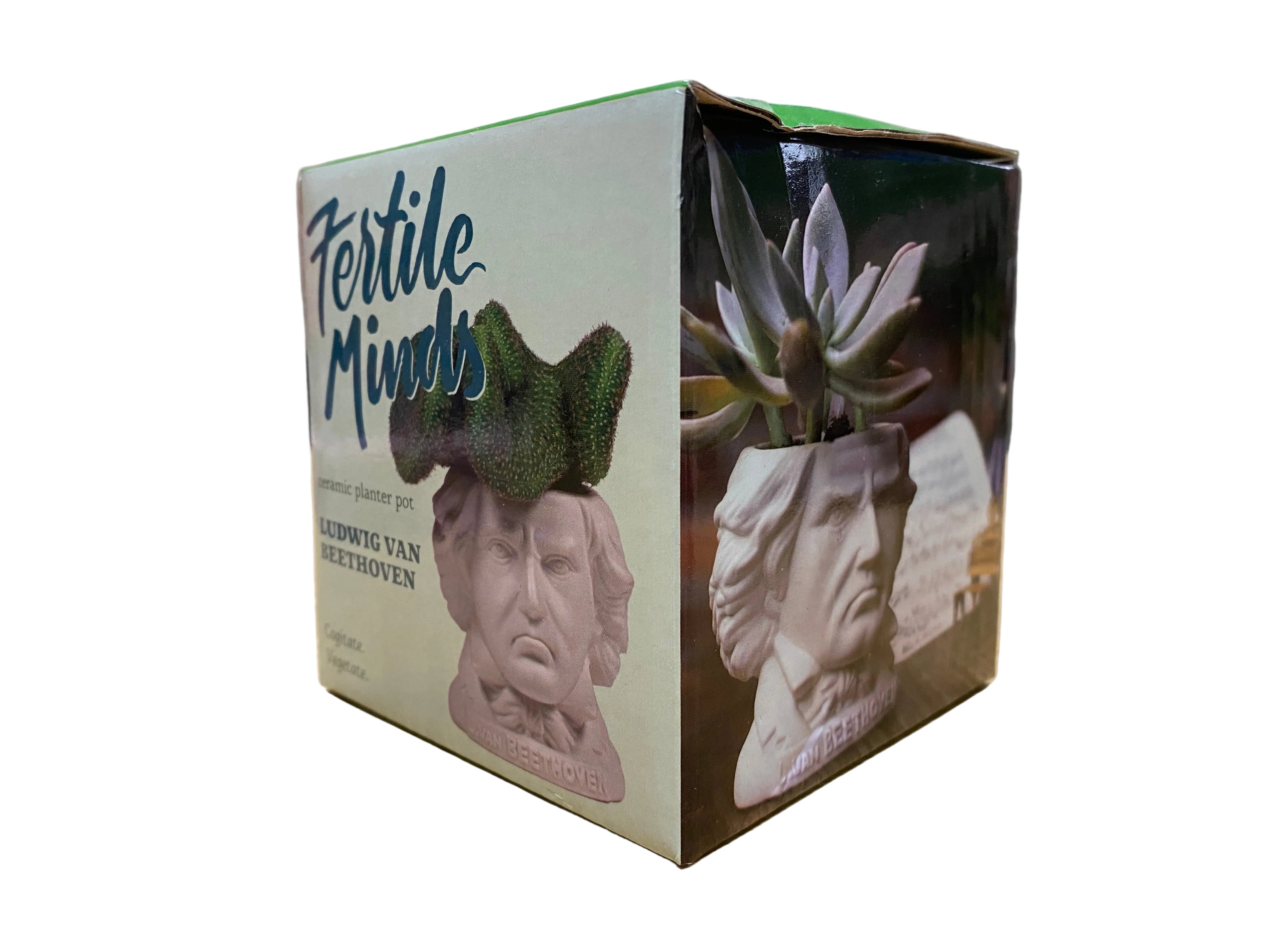 Fertile Minds Ludwig Van Beethoven Ceramic Planter Pot