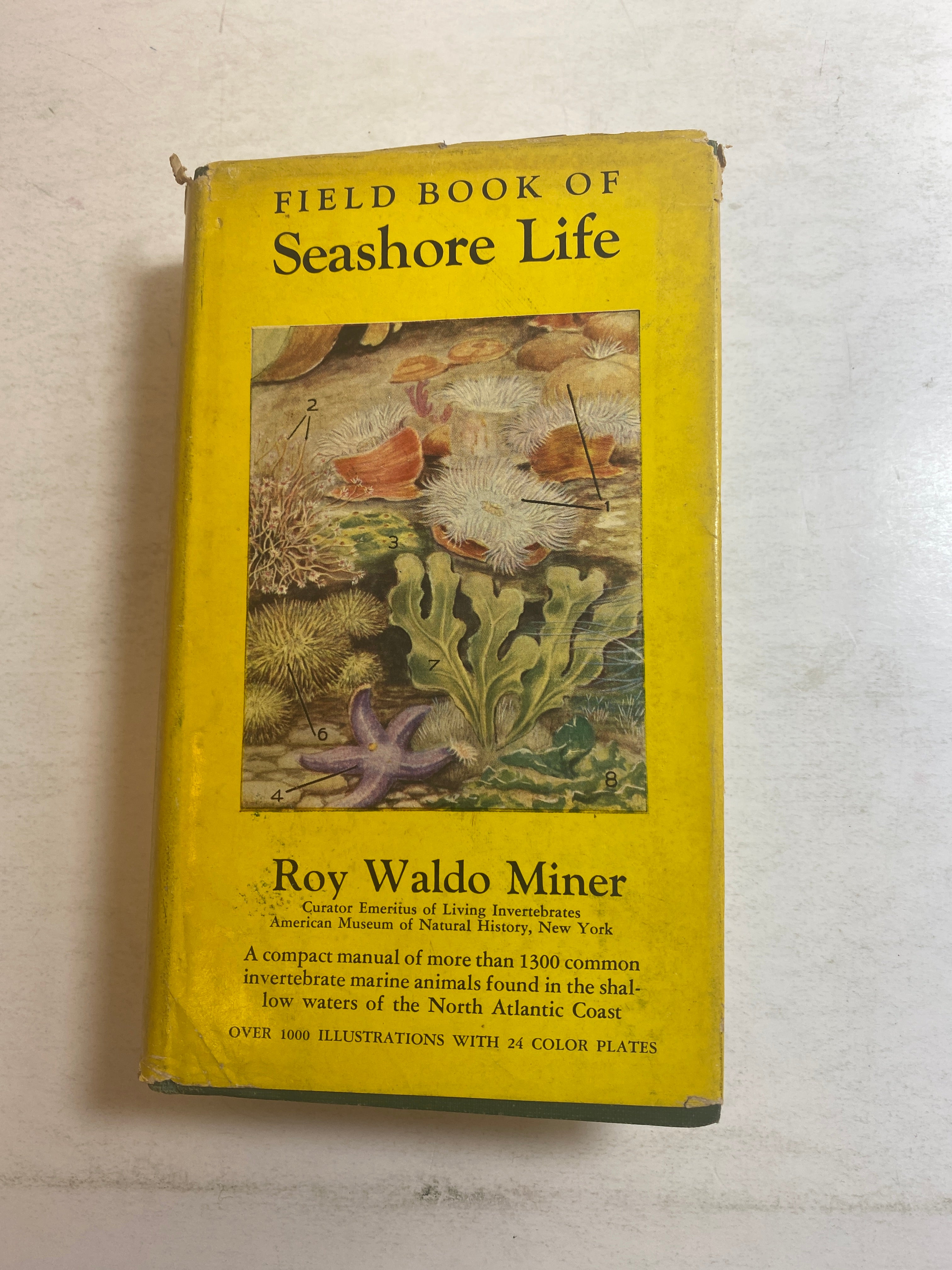 Field Book of Seashore Life Roy Waldo Miner HCDJ 1950