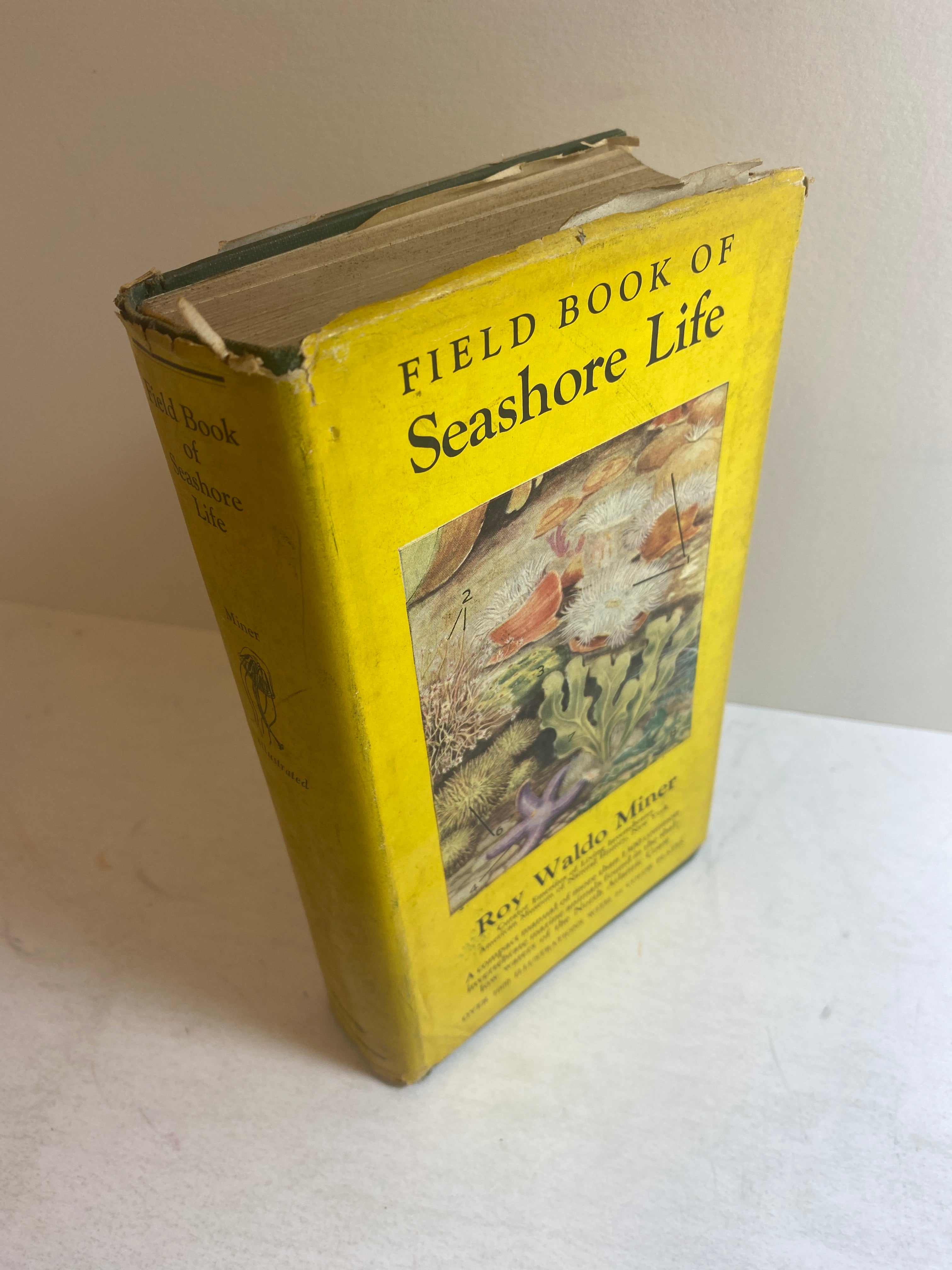 Field Book of Seashore Life Roy Waldo Miner HCDJ 1950
