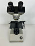 Fisher Scientific Microscope