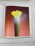 Flowers Mapplethorpe Bulfinch Press c1989 HCDJ