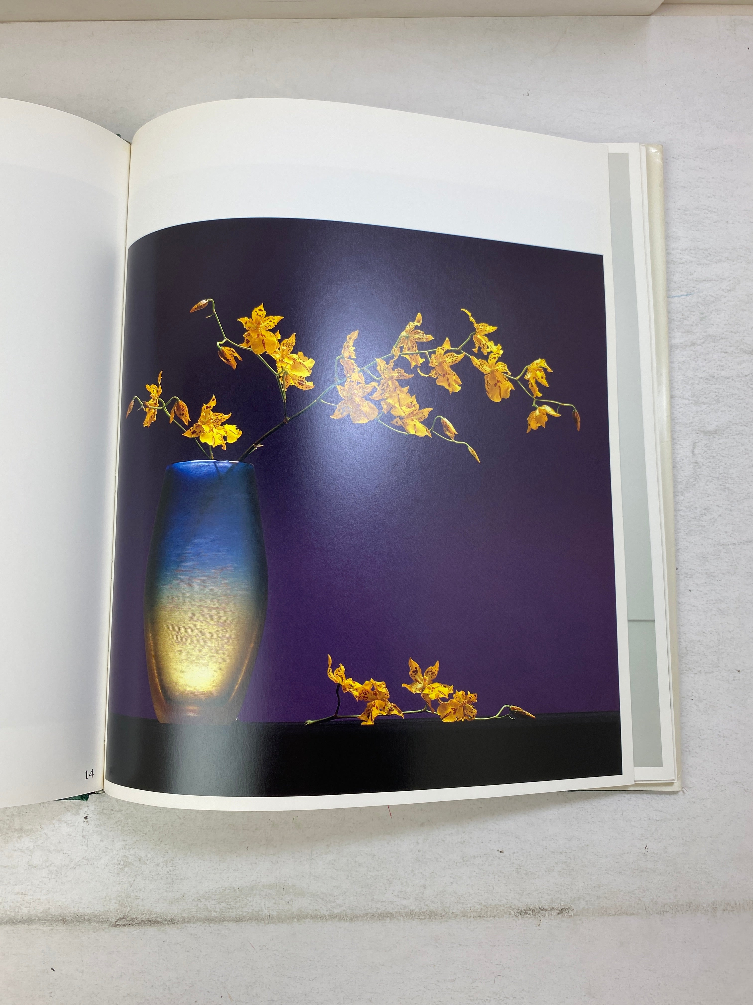 Flowers Mapplethorpe Bulfinch Press c1989 HCDJ