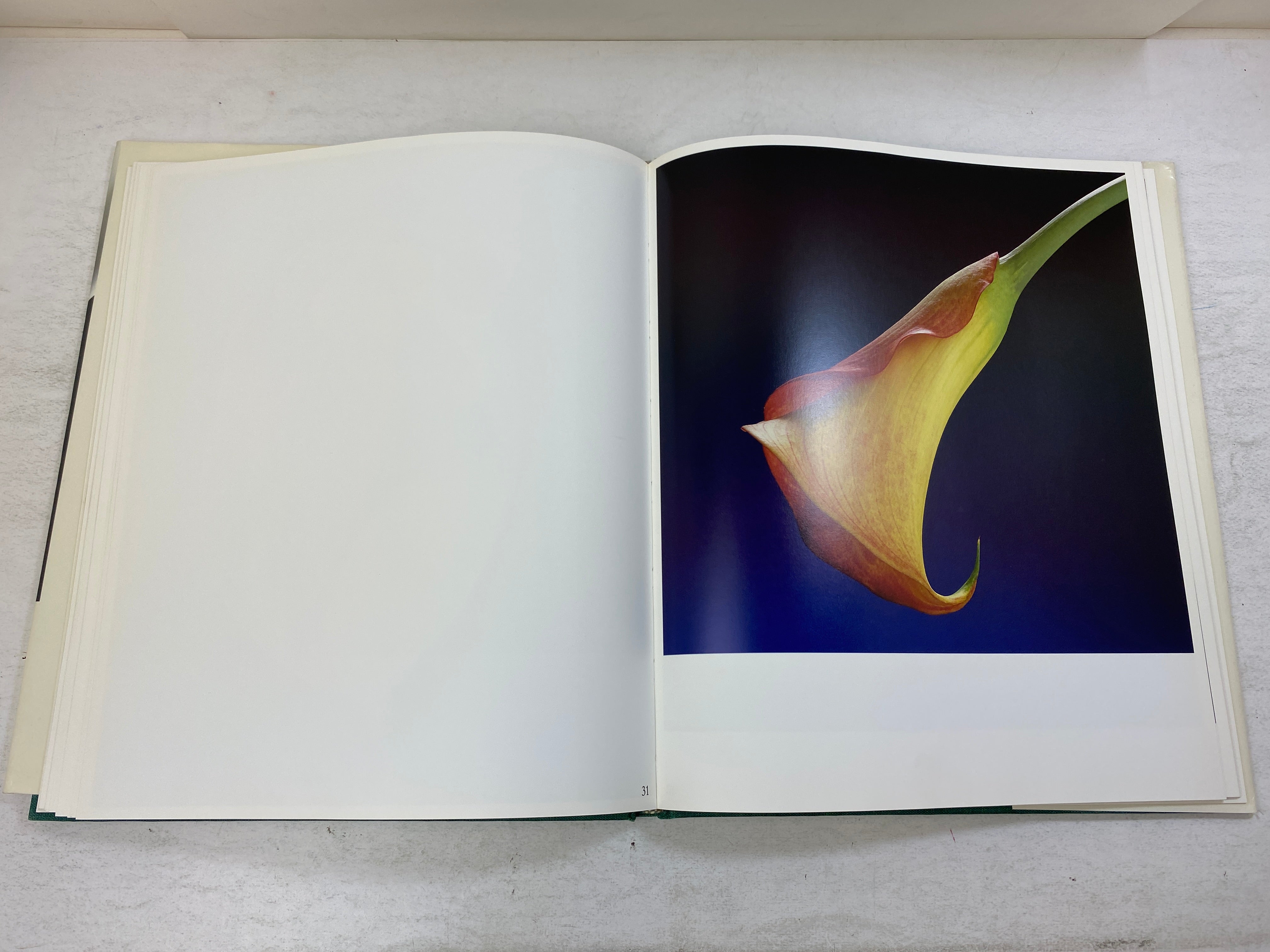 Flowers Mapplethorpe Bulfinch Press c1989 HCDJ