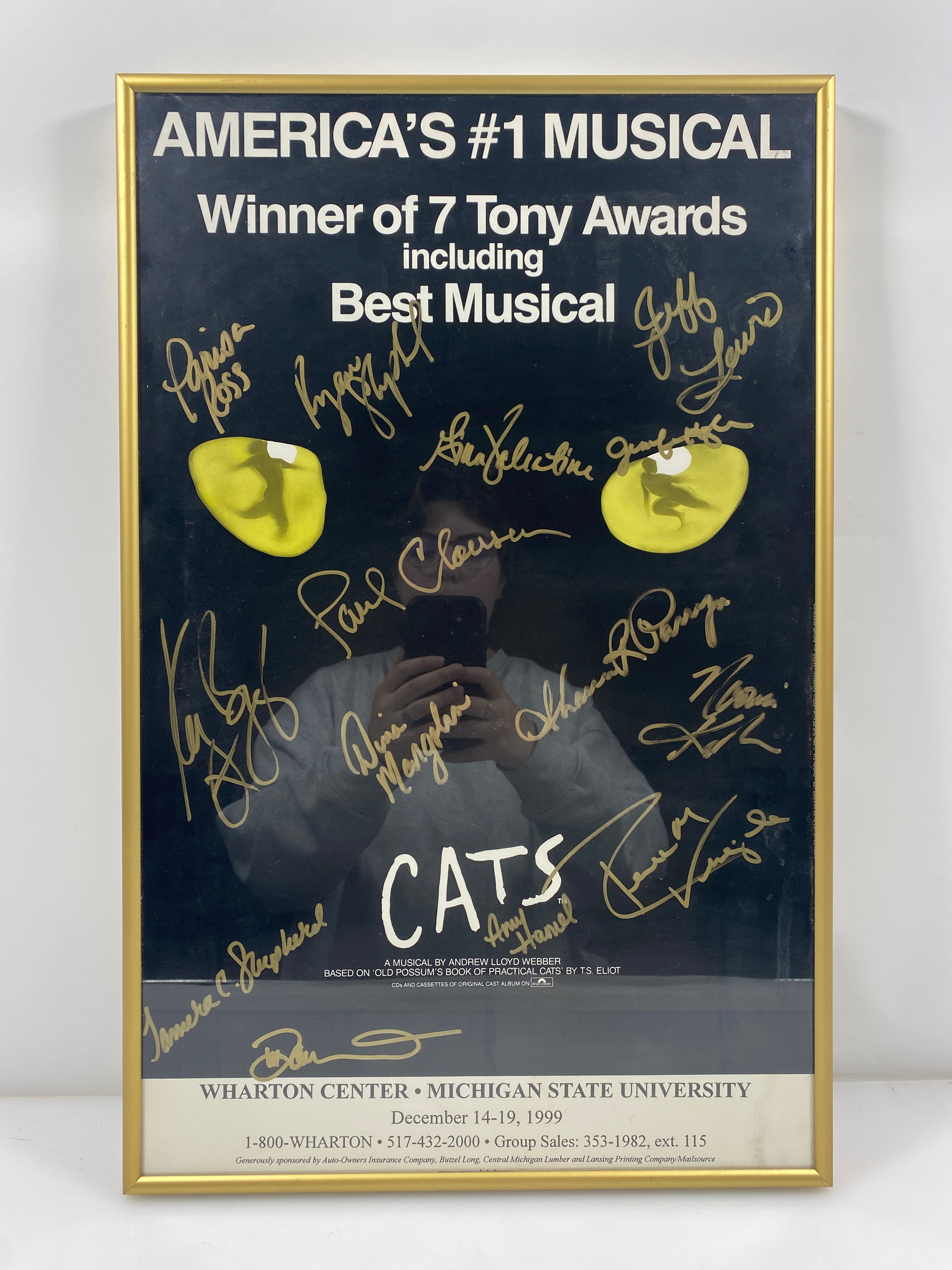 Framed Signed Cats the Musical Poster
