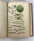 Fresh Water Algae of the United States by F. Wolle 1887 in Library Binding