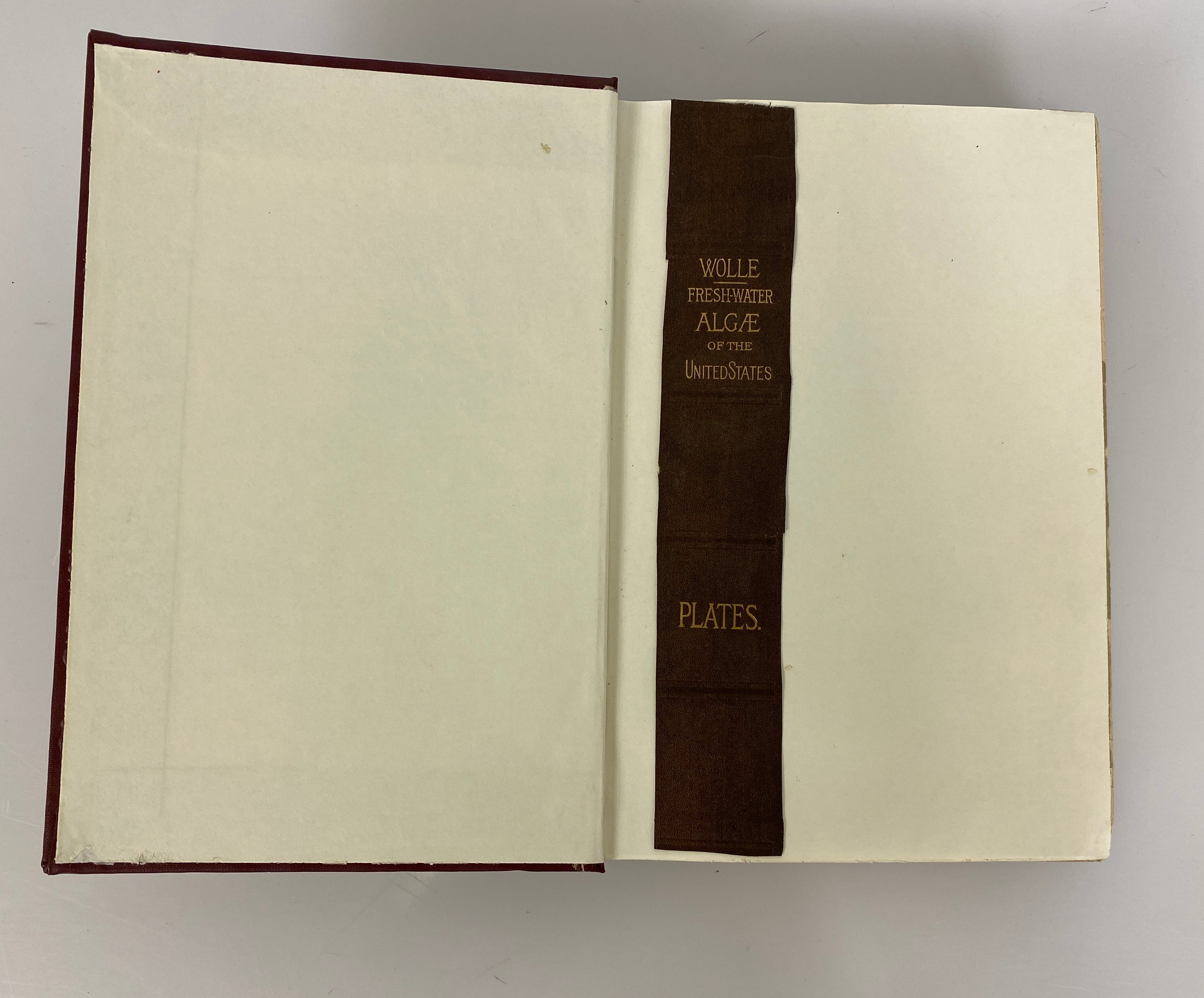Fresh Water Algae of the United States by F. Wolle 1887 in Library Binding