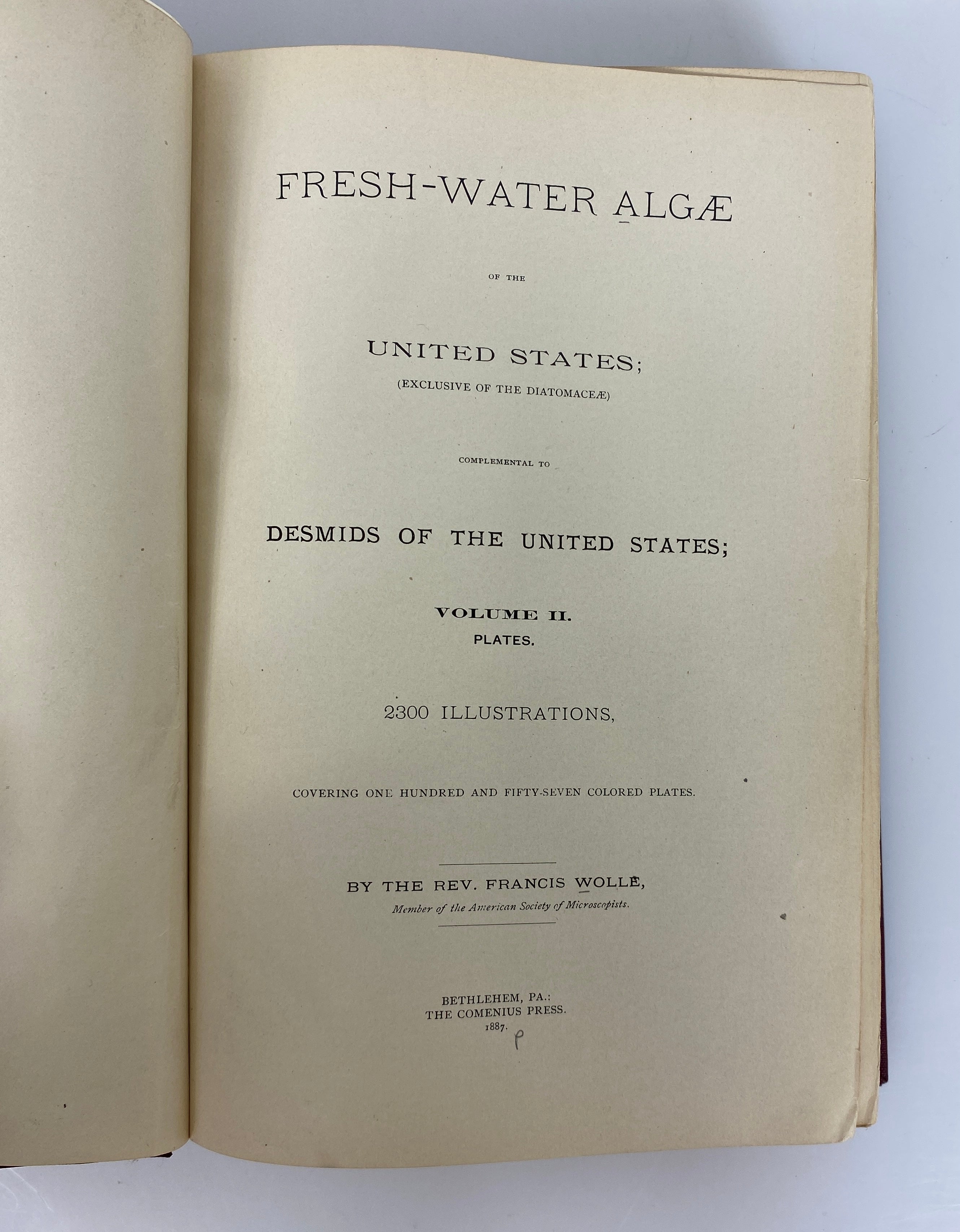 Fresh Water Algae of the United States by F. Wolle 1887 in Library Binding