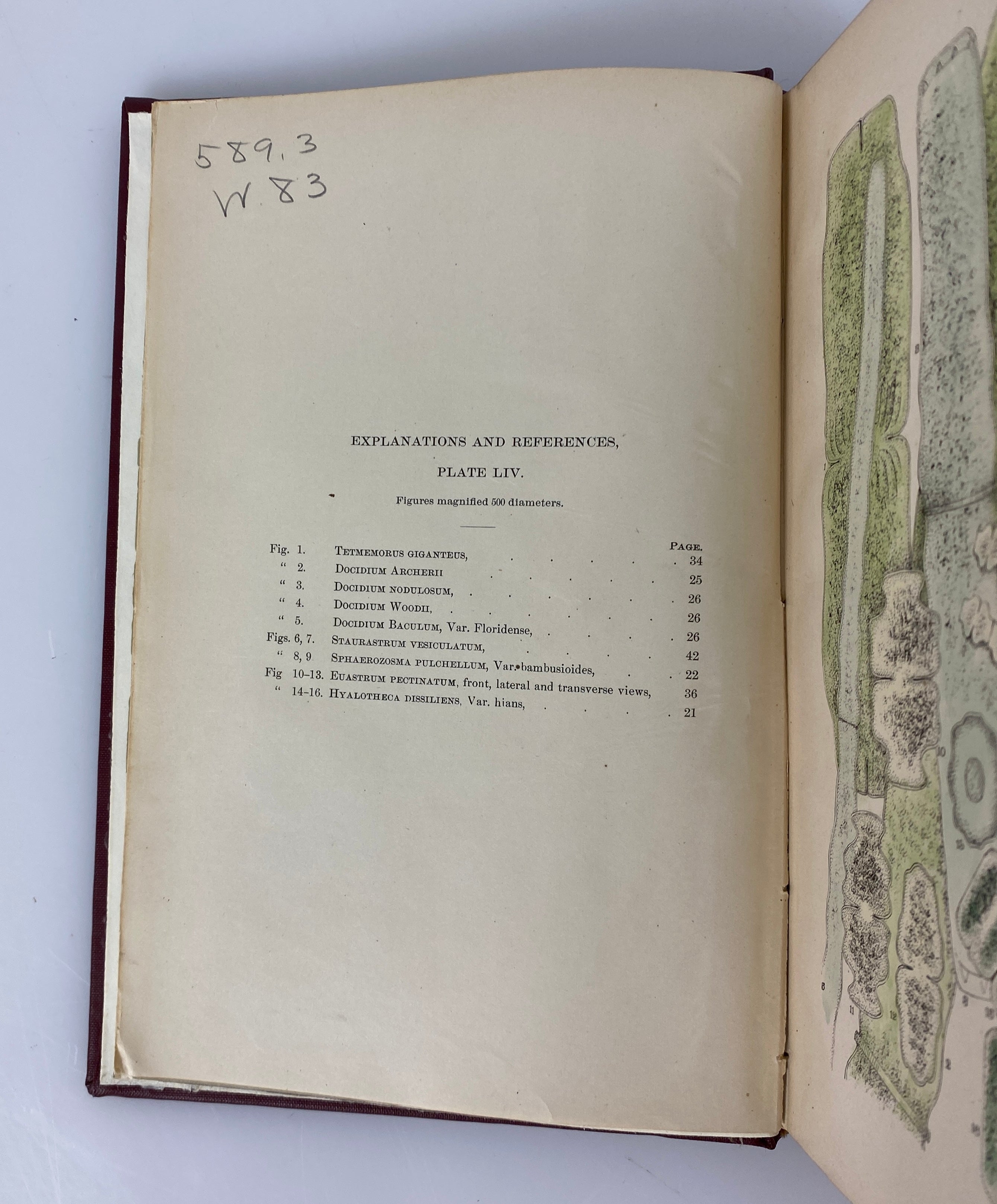 Fresh Water Algae of the United States by F. Wolle 1887 in Library Binding