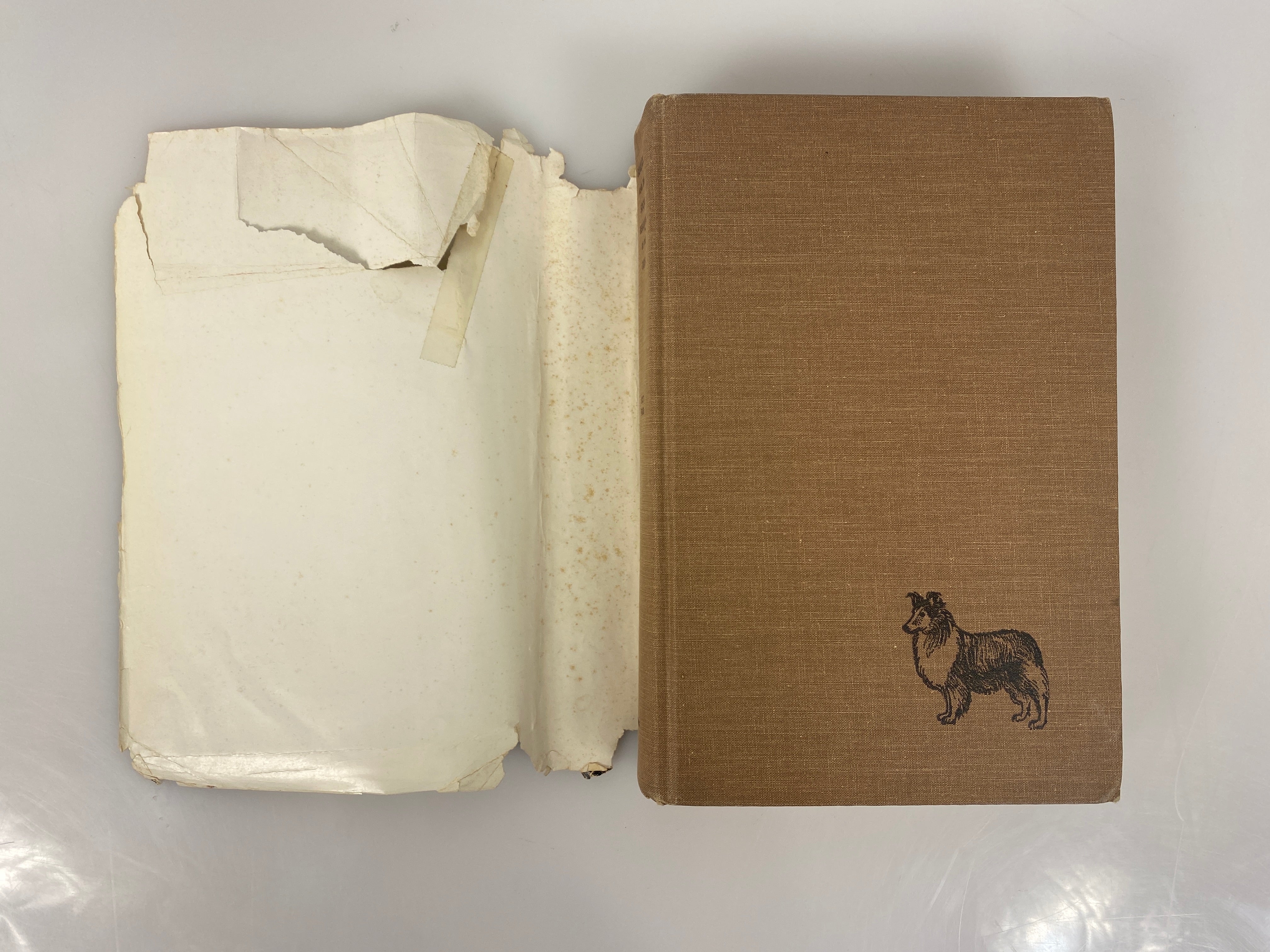 Genetics and the Social Behavior of the Dog Scott/Fuller 1965 Signed HC DJ