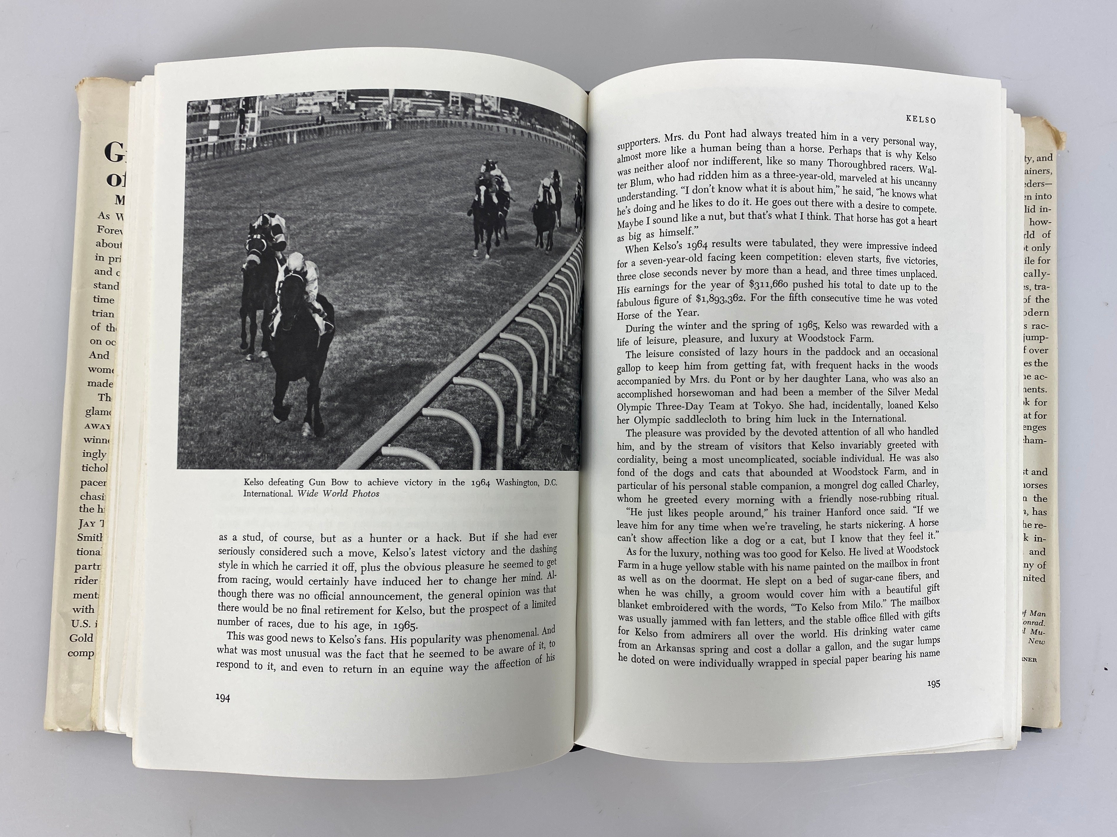 Great Horses of Our Time by M.A. Stoneridge 1972 First Edition HC DJ