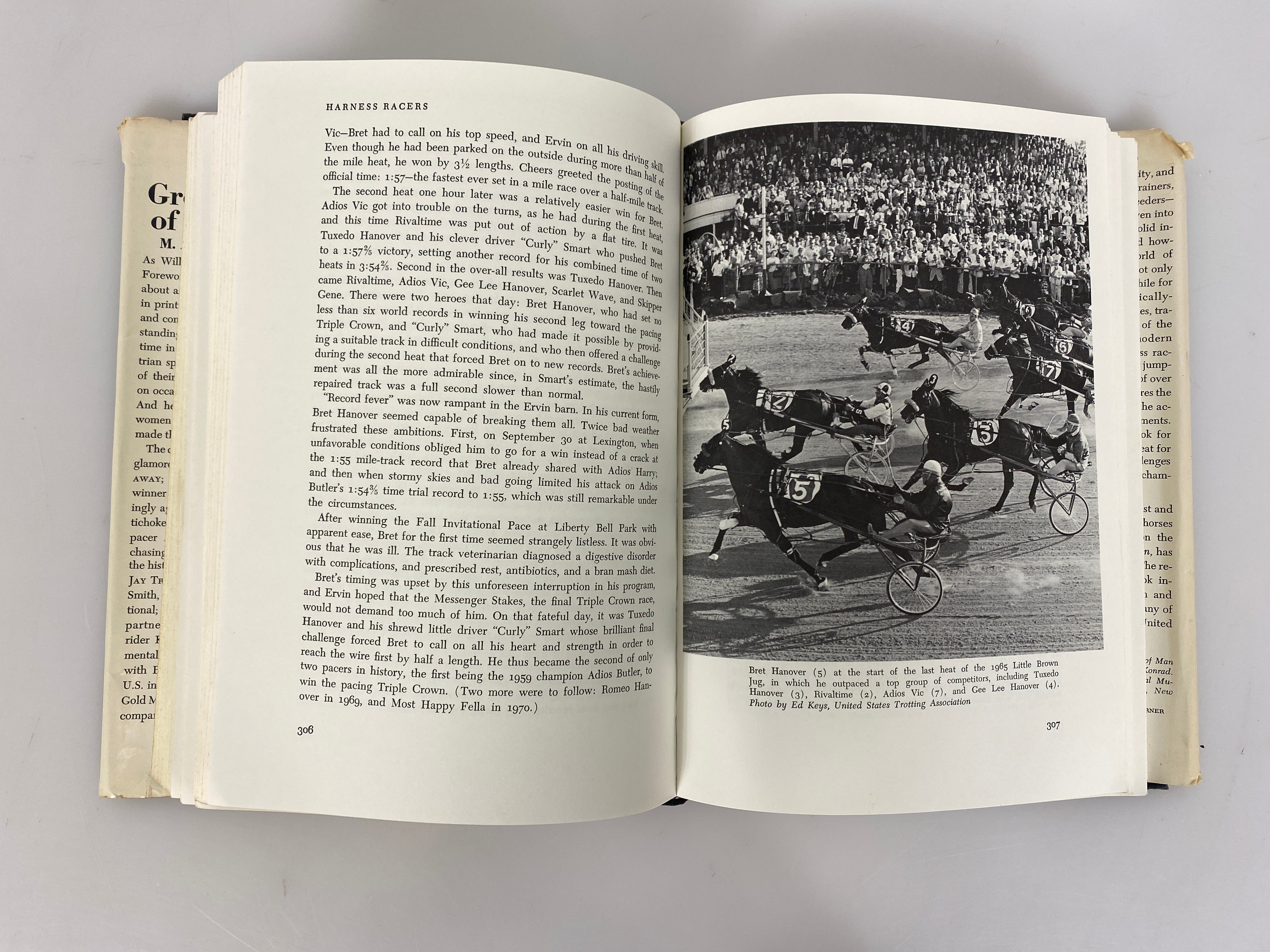 Great Horses of Our Time by M.A. Stoneridge 1972 First Edition HC DJ