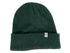Green Michigan State Beanie