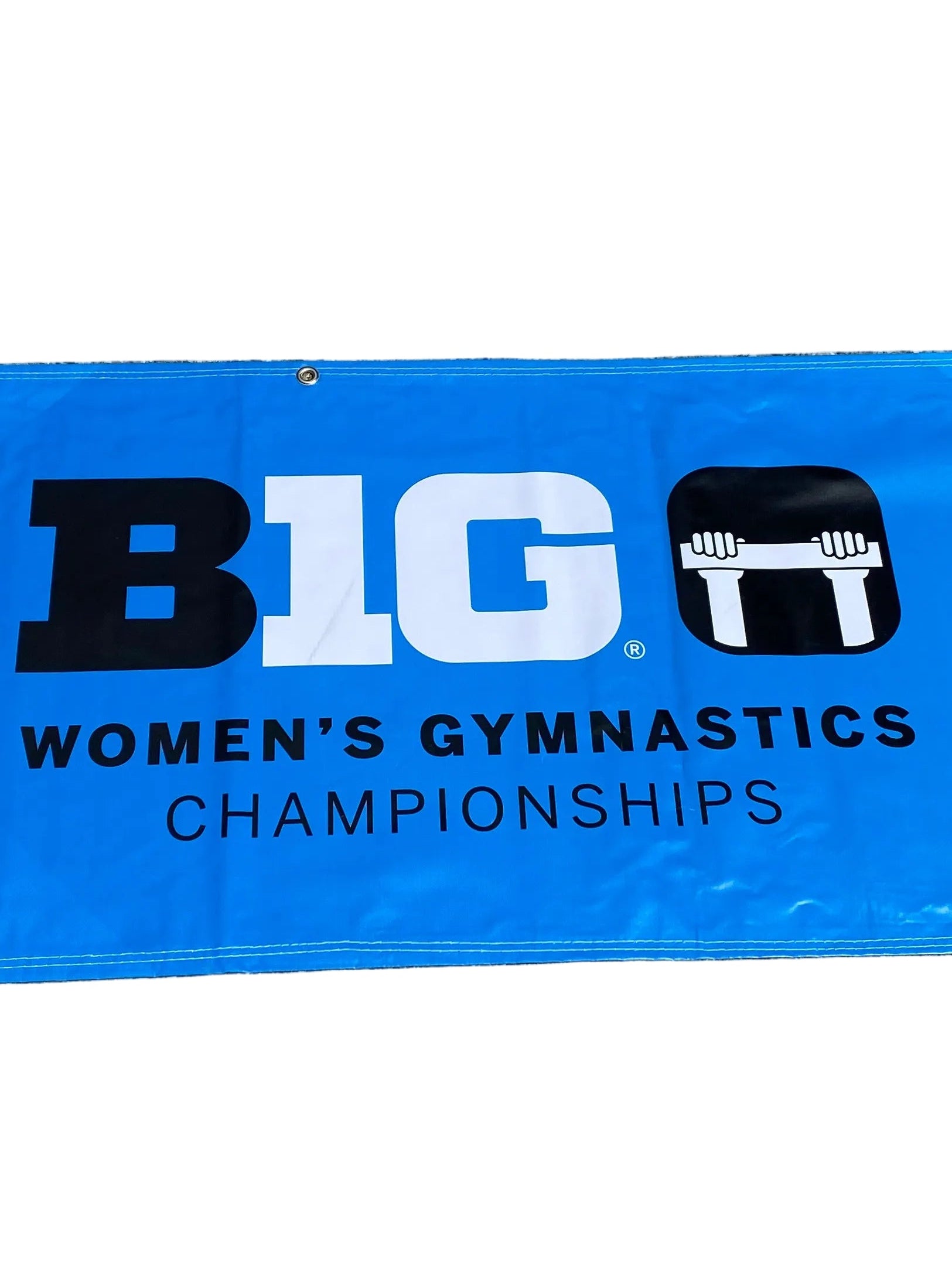 'Gymnastics Championship Big Ten Womens' Big 10 Womens Gymnastics Championship 2024 Banner