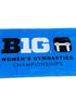 'Gymnastics Championship Big Ten Womens' Big 10 Womens Gymnastics Championship 2024 Banner