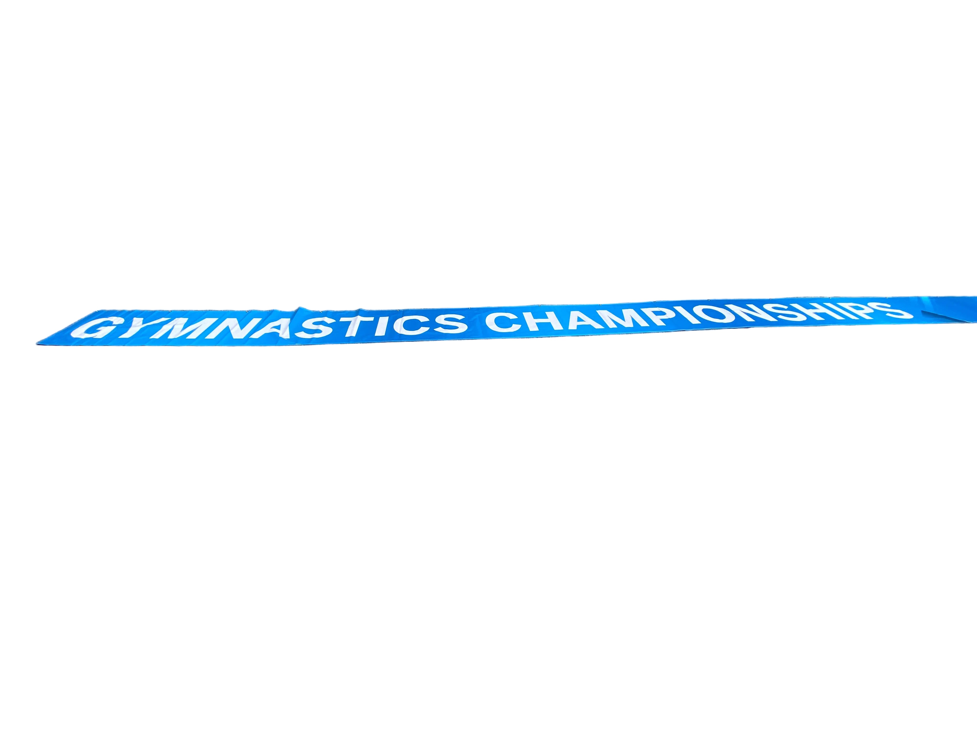 'Gymnastics Championship Big Ten Womens' Big 10 Womens Gymnastics Championship 2024 Banner