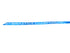 'Gymnastics Championship Big Ten Womens' Big 10 Womens Gymnastics Championship 2024 Banner