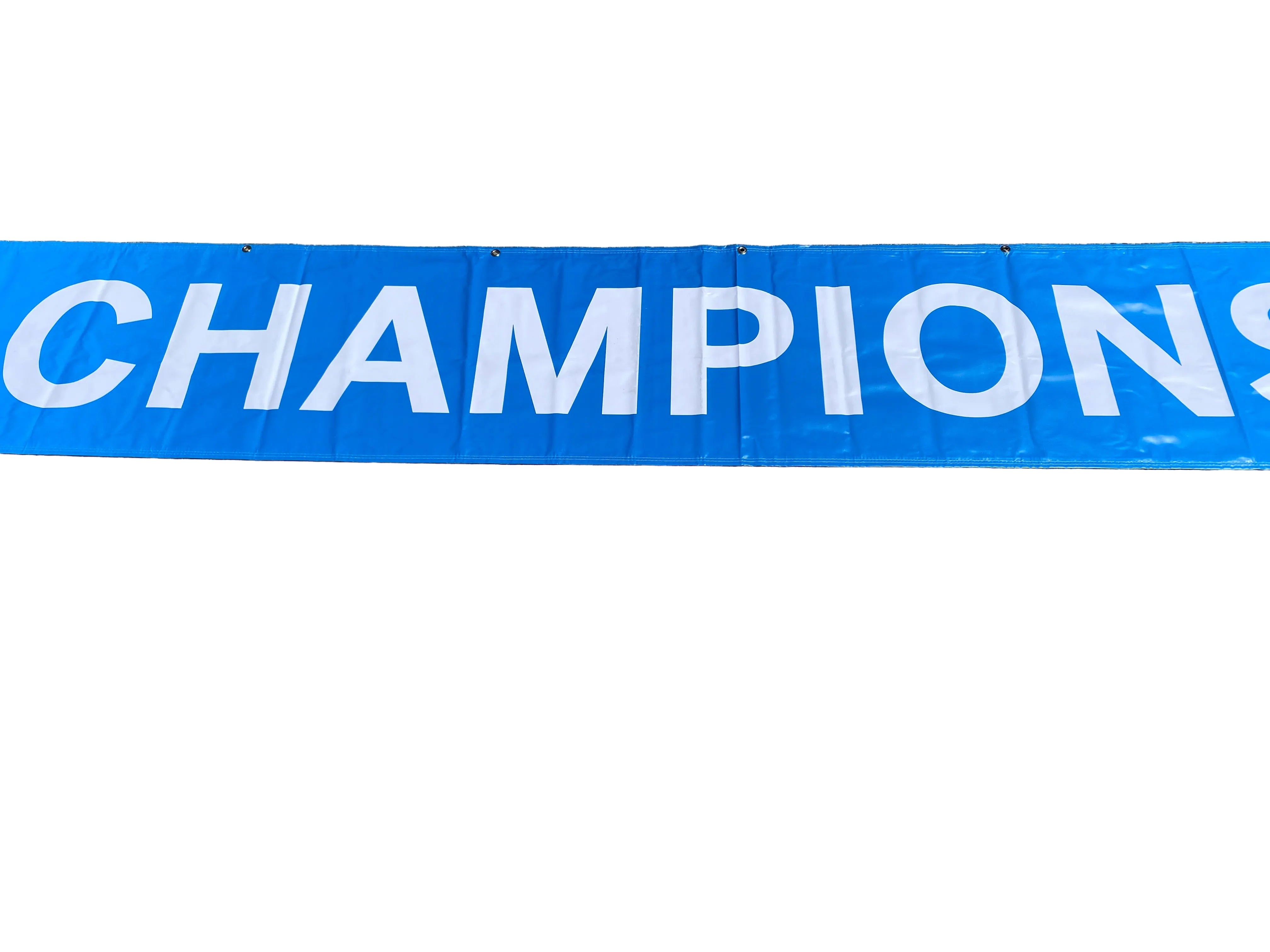 'Gymnastics Championships' Women's Big Ten Gymnastics Championships 2024 Banner