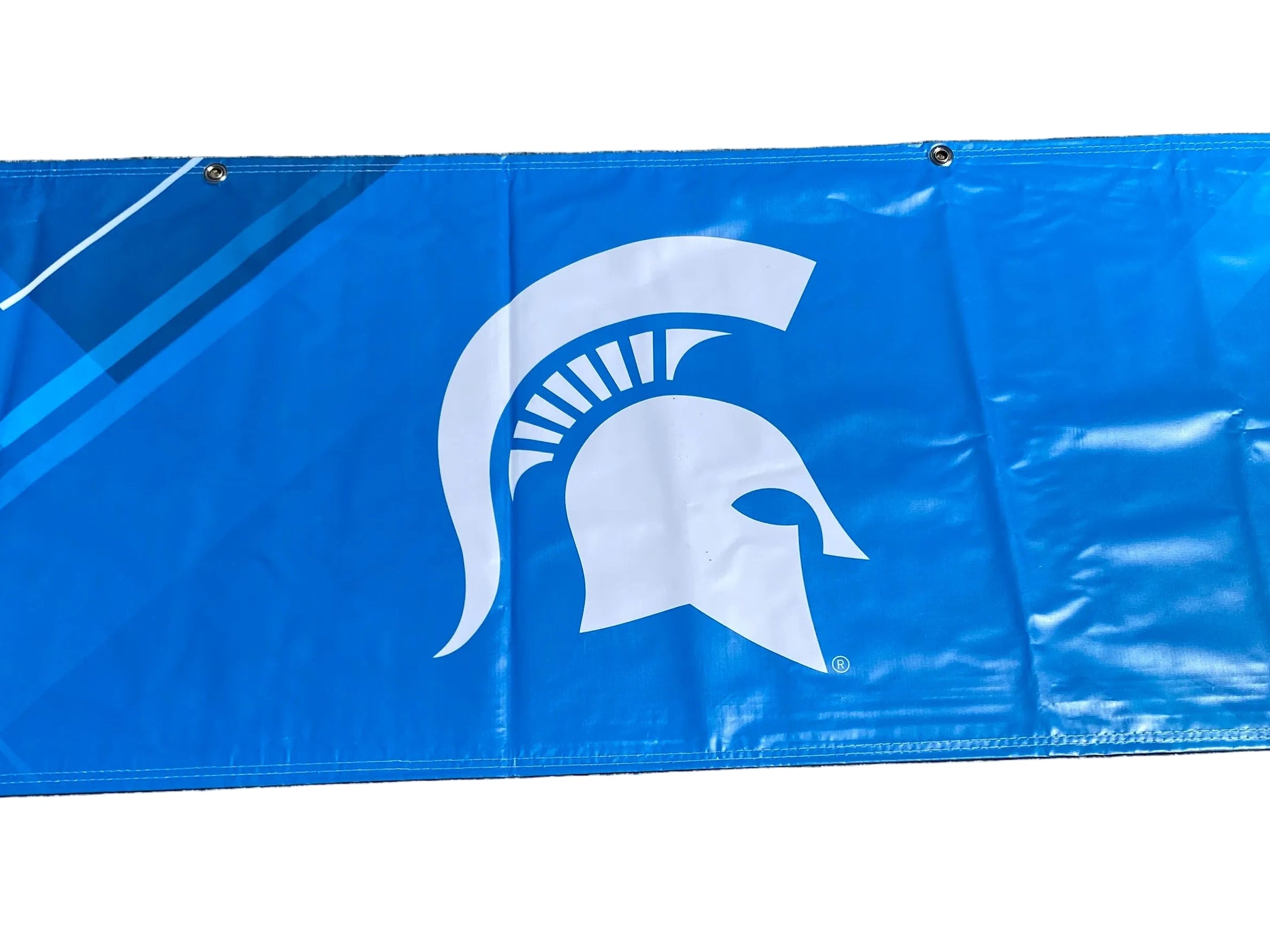 'Gymnastics Championships' Women's Big Ten Gymnastics Championships 2024 Banner