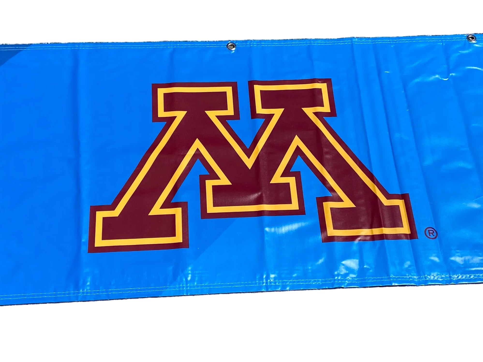 'Gymnastics Championships' Women's Big Ten Gymnastics Championships 2024 Banner