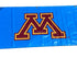 'Gymnastics Championships' Women's Big Ten Gymnastics Championships 2024 Banner