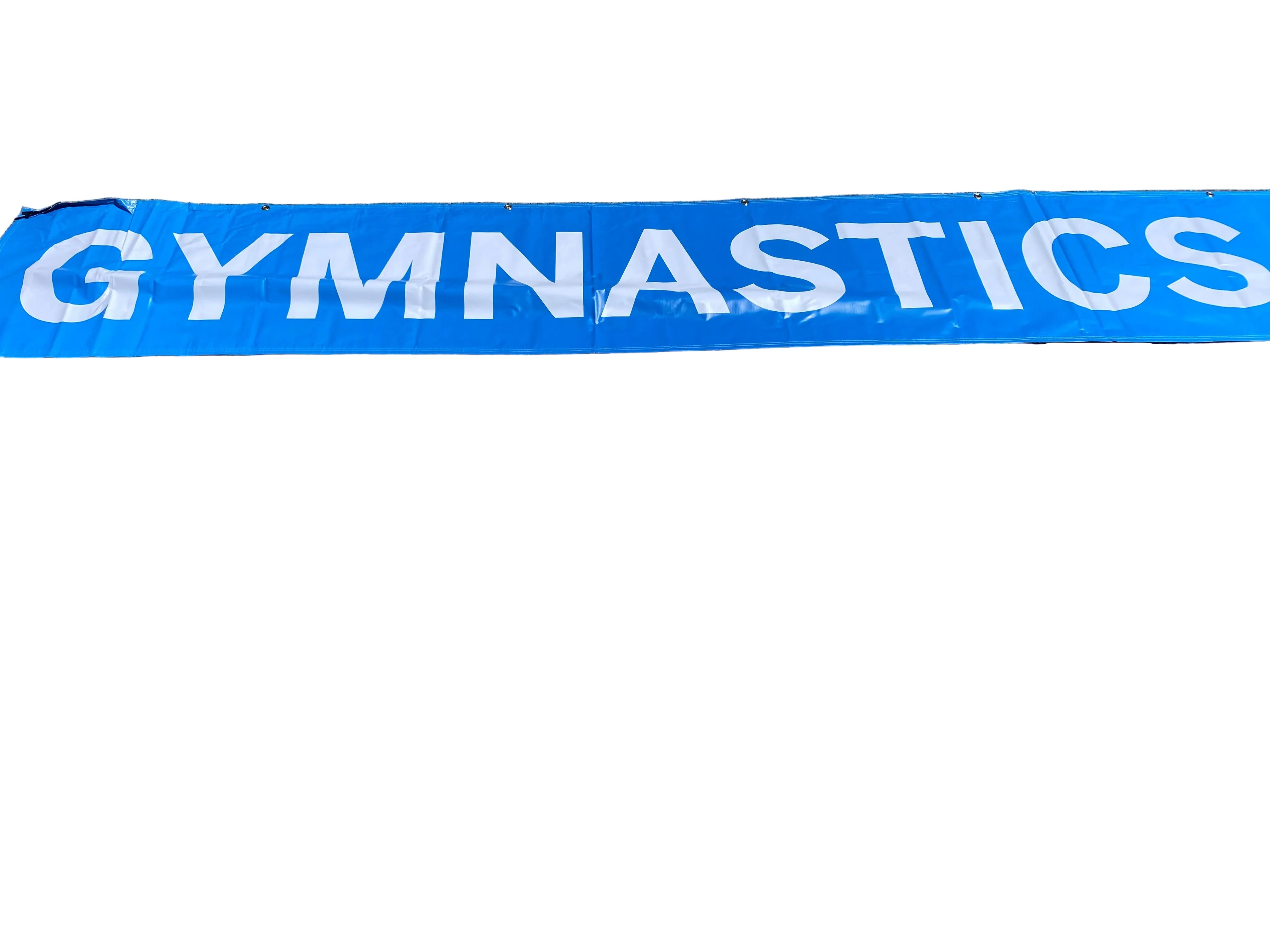 'Gymnastics Championships' Women's Big Ten Gymnastics Championships 2024 Banner