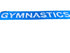 'Gymnastics Championships' Women's Big Ten Gymnastics Championships 2024 Banner