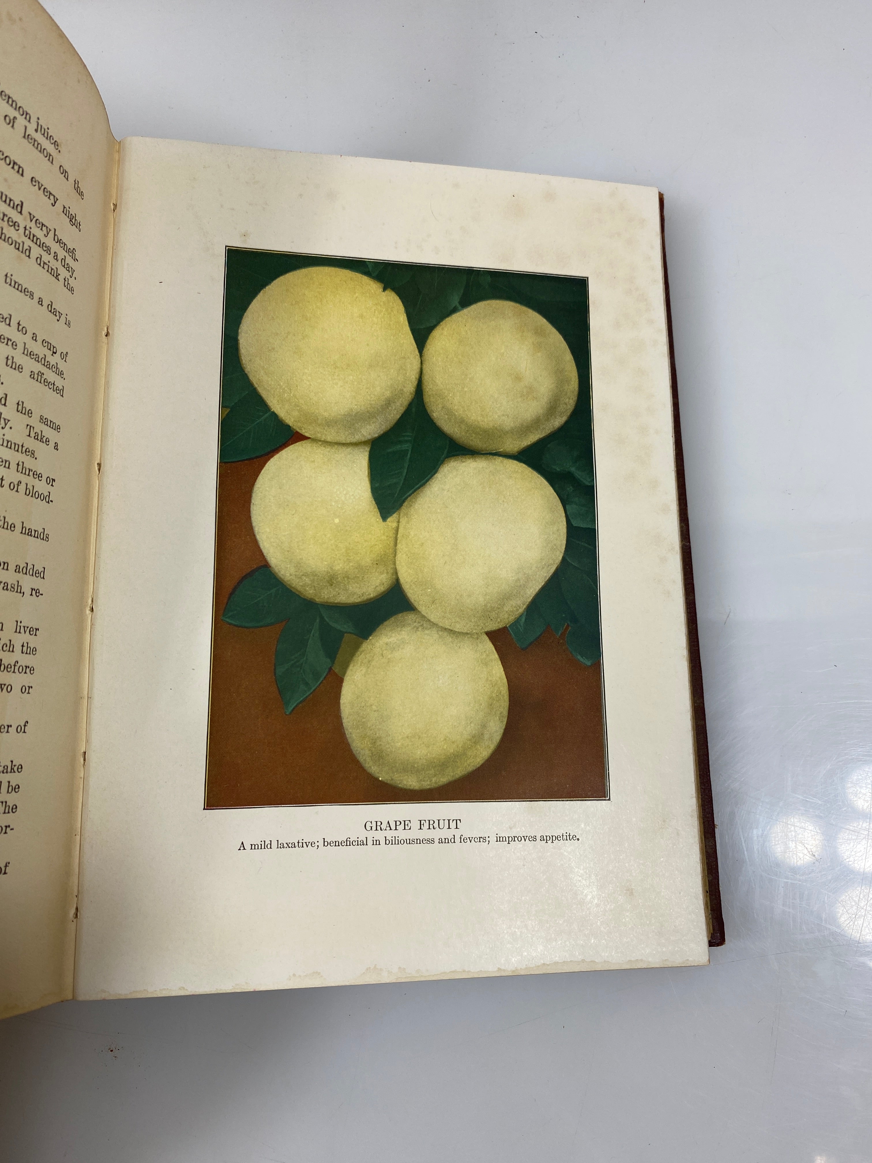 Health Knowledge Corish Vol. II Domestic Health Society 1922