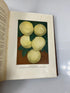 Health Knowledge Corish Vol. II Domestic Health Society 1922