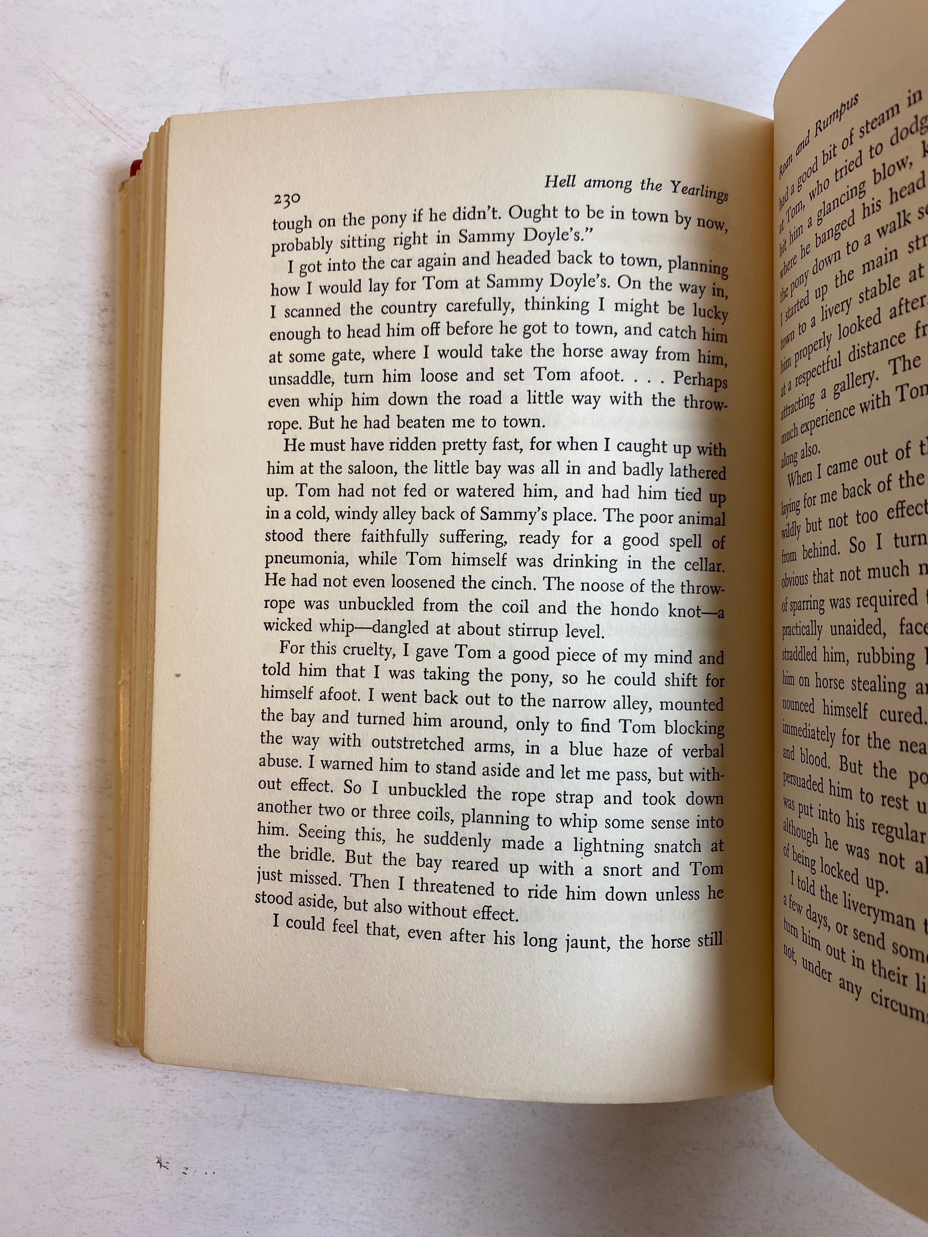 Hell Among the Yearlings Edmund Randolph 1955 First Edition HCDJ
