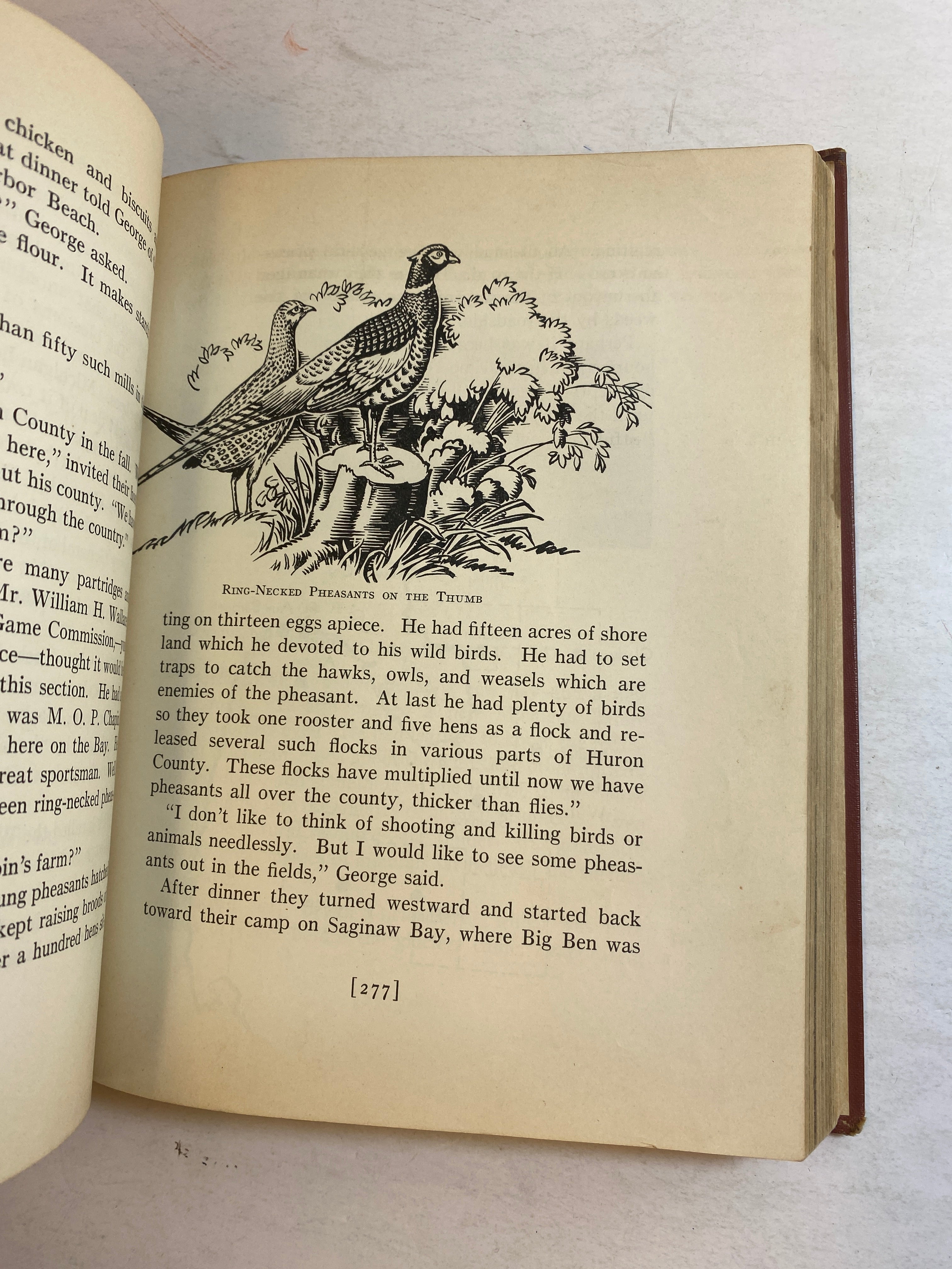 Hello Michigan Berenice Bryant Lowe HC 1939