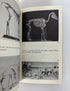 Horses by George Gaylord Simpson 1961 Doubleday Anchor PB