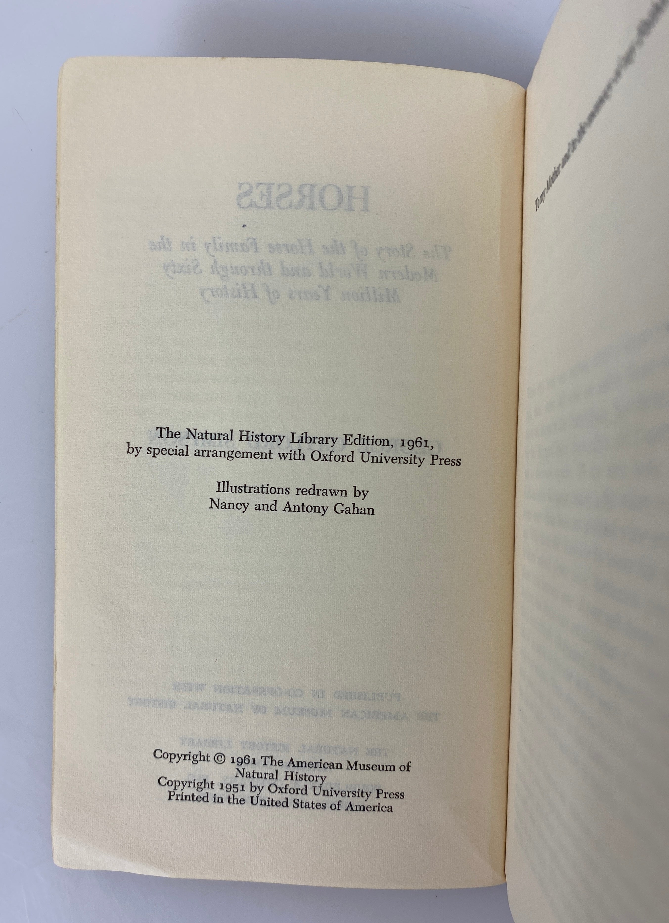 Horses by George Gaylord Simpson 1961 Doubleday Anchor PB