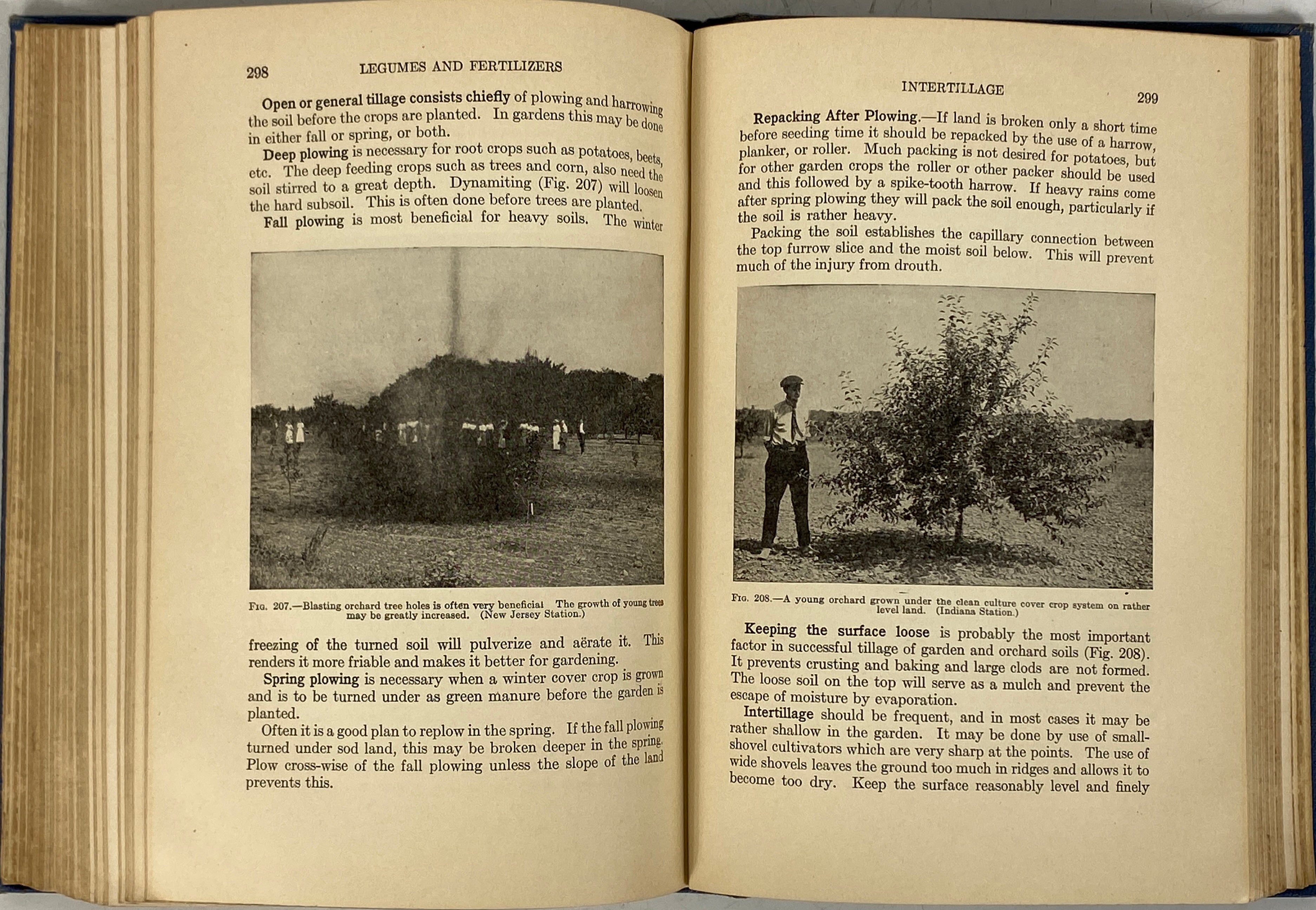 Horticulture by K.C. Davis 1922 Antique H.S. Textbook HC