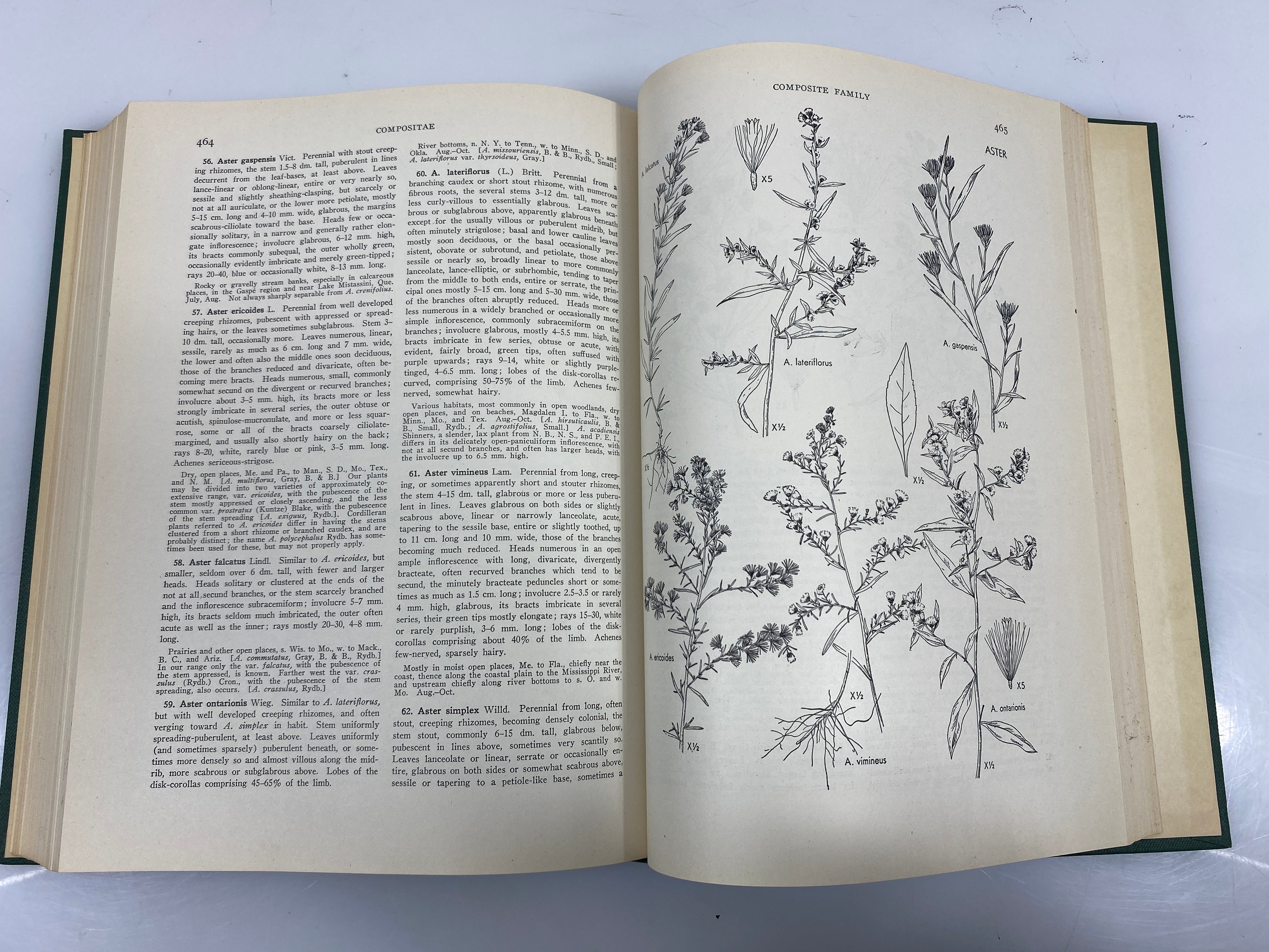 Illustrated Flora by Gleason Vol. 3 1952 HC
