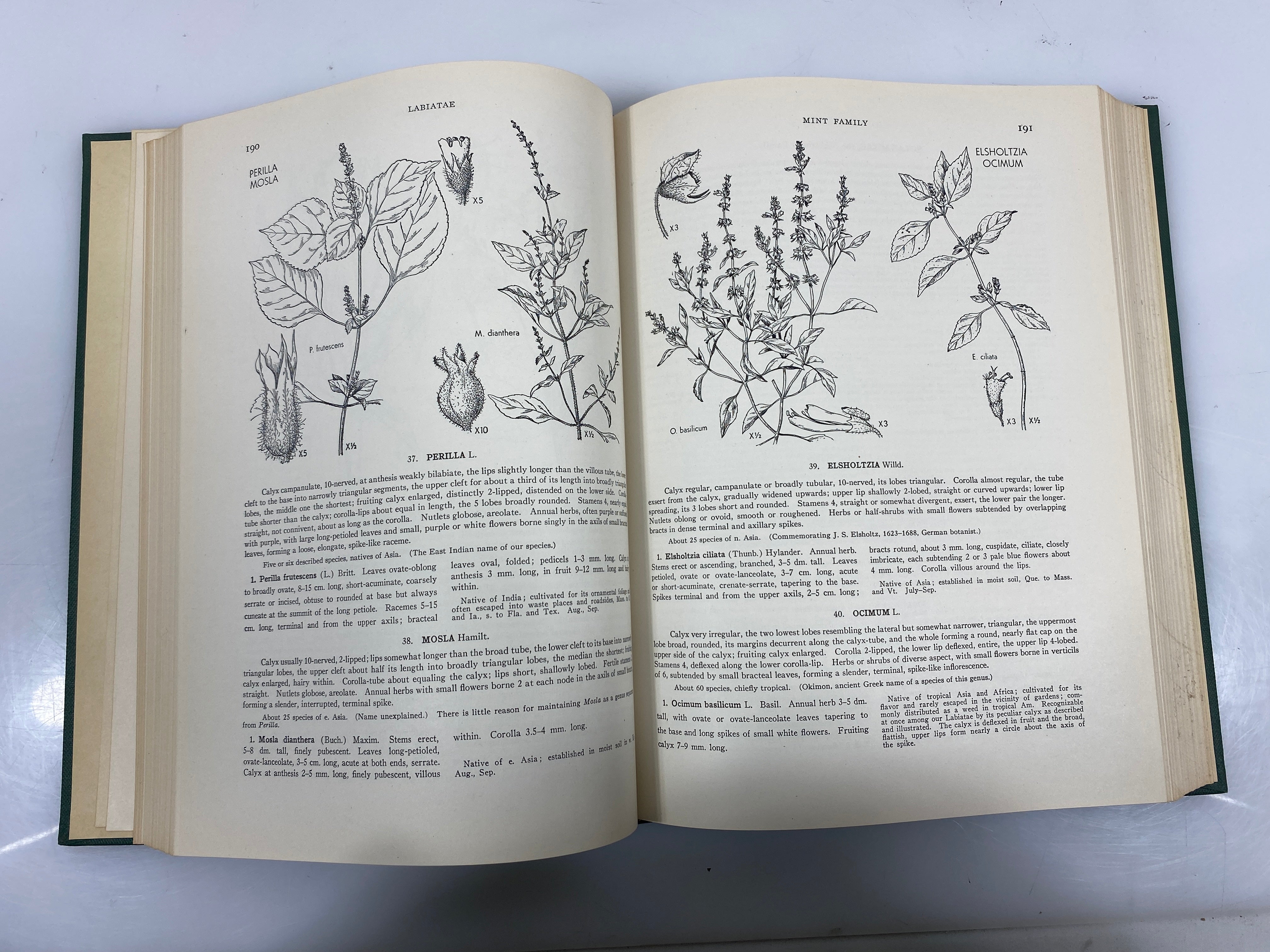 Illustrated Flora by Gleason Vol. 3 1952 HC